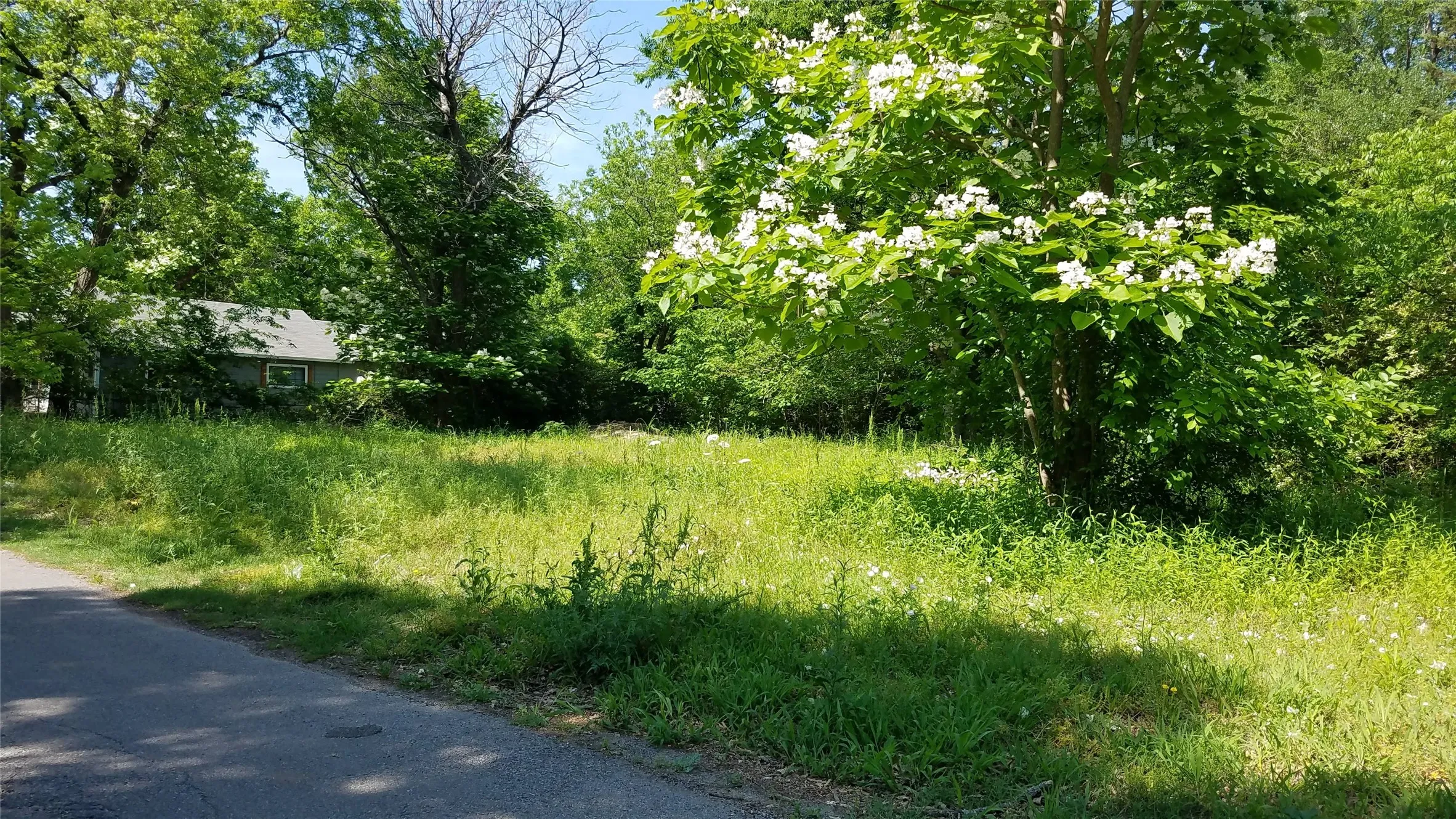 Unimproved Land For Sale in Fannin County , 1609 Kennedy Street, Bonham, Texas 75418, 0, 0, Garage spaces, 0 Sqft, built in 0, Price $34,999, mls#21323889, Real Estate Agent in Bonham, Homes For Sale in Fannin county, Homes For Sale in Bonham, Realtor in Bonham Texas, Real Estate Brokerage Independent Realty Texas, Luminita Cordes Realtor