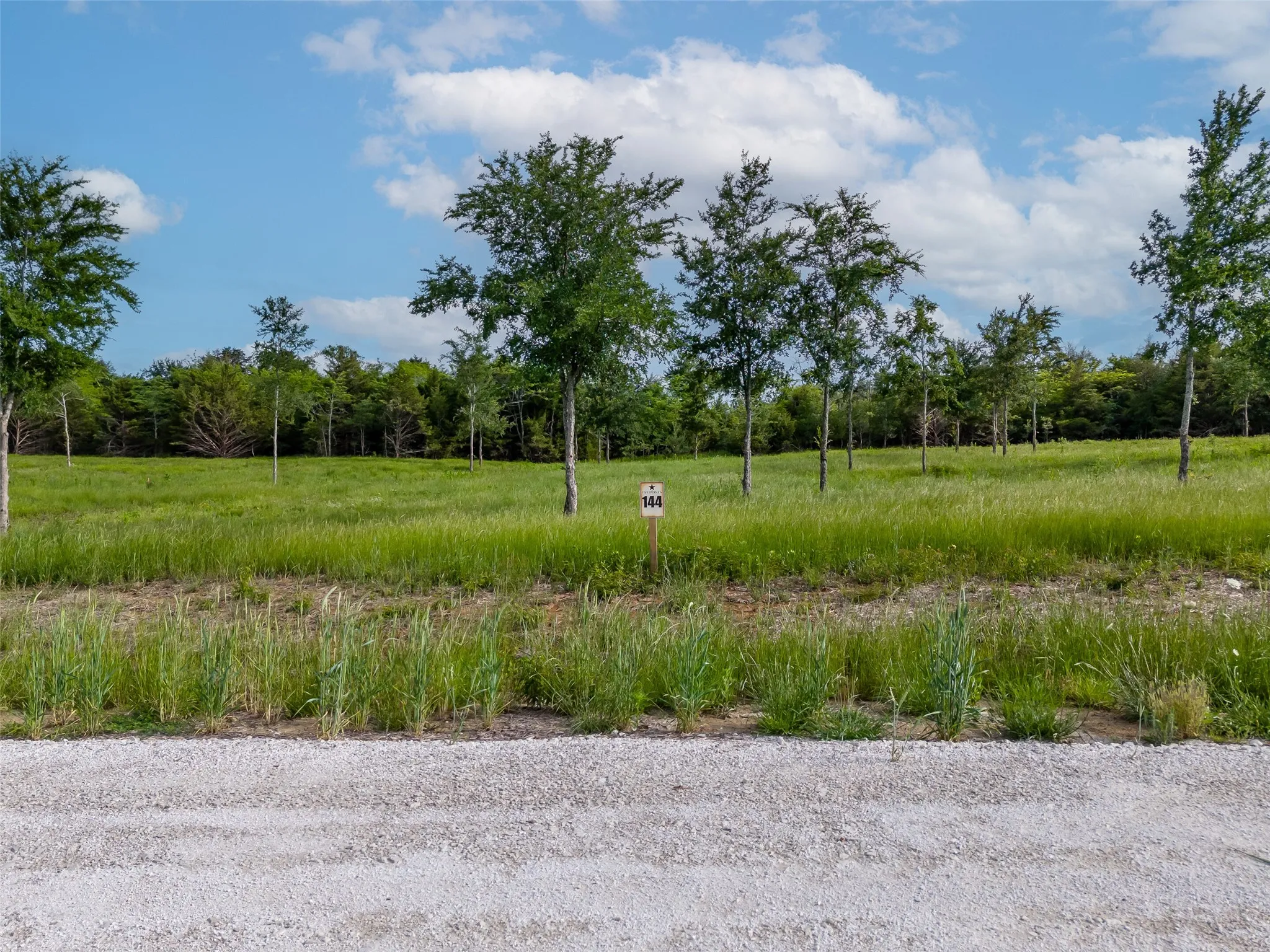 Lot 144