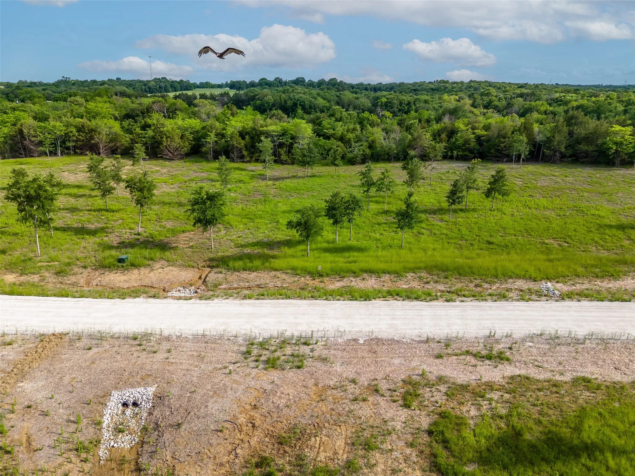 Unimproved Land For Sale in Fannin County , 398 Timberland Heights, Windom, Texas 75492, 0, 0, Garage spaces, 0 Sqft, built in 0, Price $234,000, mls#21322699, Real Estate Agent in Windom, Homes For Sale in Fannin county, Homes For Sale in Windom, Realtor in Windom Texas, Real Estate Brokerage Independent Realty Texas, Luminita Cordes Realtor