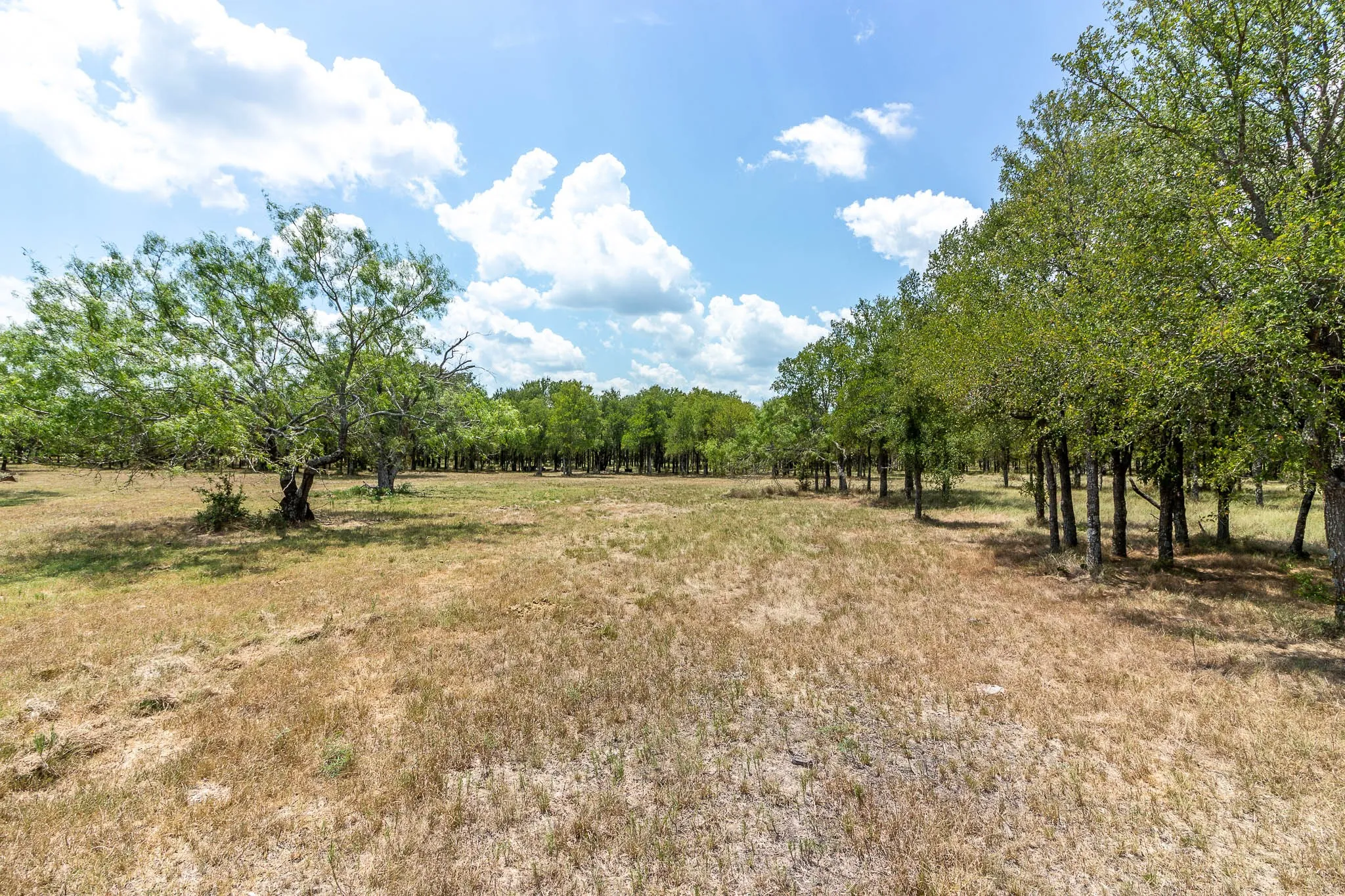 Unimproved Land For Sale in Kaufman County , 0 Co Rd 4076, Scurry, Texas 75158, 0, 0, Garage spaces, 0 Sqft, built in 0, mls#21322470, Real Estate Agent in Scurry, Homes For Sale in Kaufman county, Homes For Sale in Scurry, Realtor in Scurry Texas, Real Estate Brokerage Independent Realty Texas, Luminita Cordes Realtor