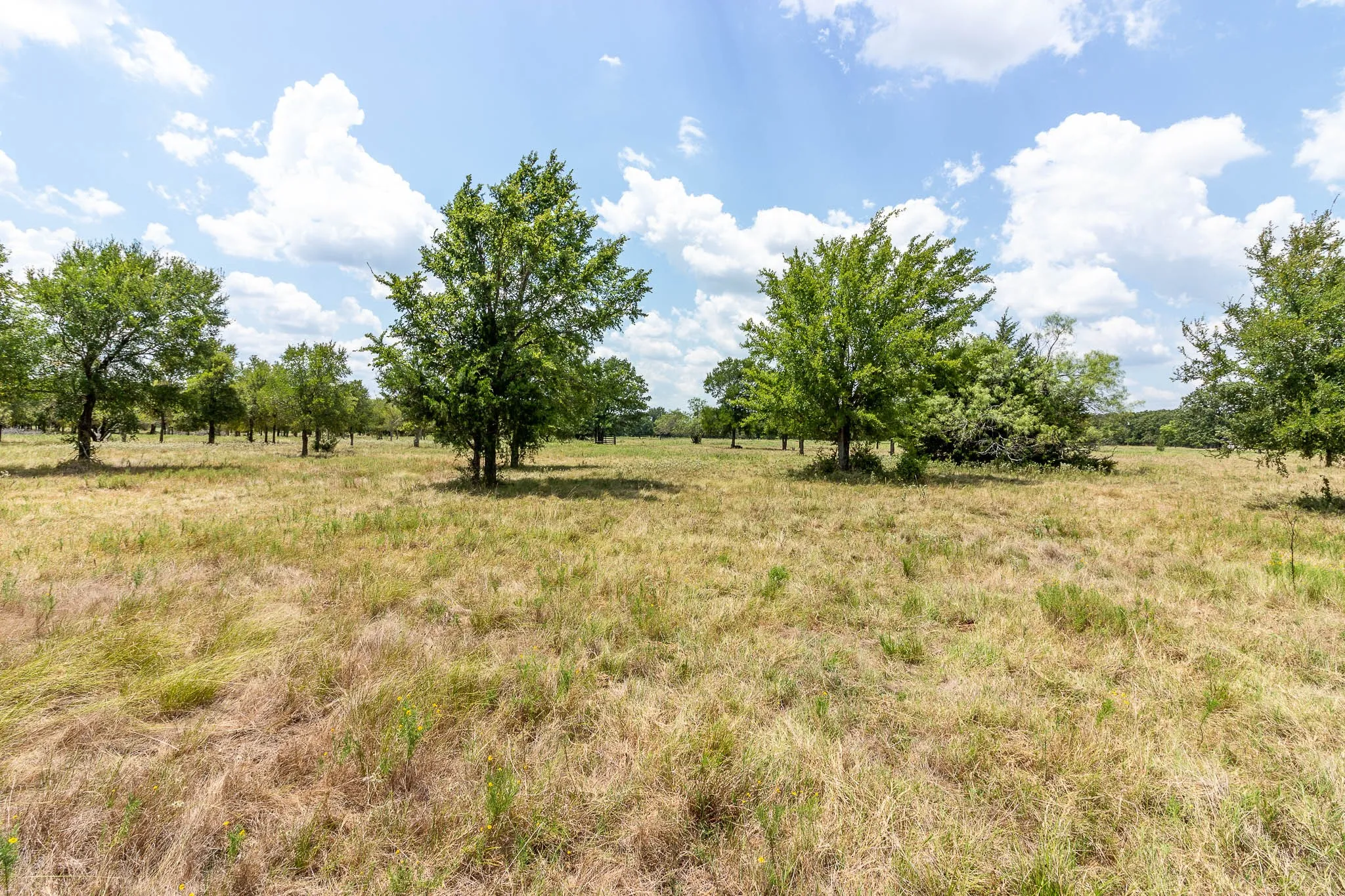 Unimproved Land For Sale in Kaufman County , 0 Co Rd 4076, Scurry, Texas 75158, 0, 0, Garage spaces, 0 Sqft, built in 0, mls#21322470, Real Estate Agent in Scurry, Homes For Sale in Kaufman county, Homes For Sale in Scurry, Realtor in Scurry Texas, Real Estate Brokerage Independent Realty Texas, Luminita Cordes Realtor