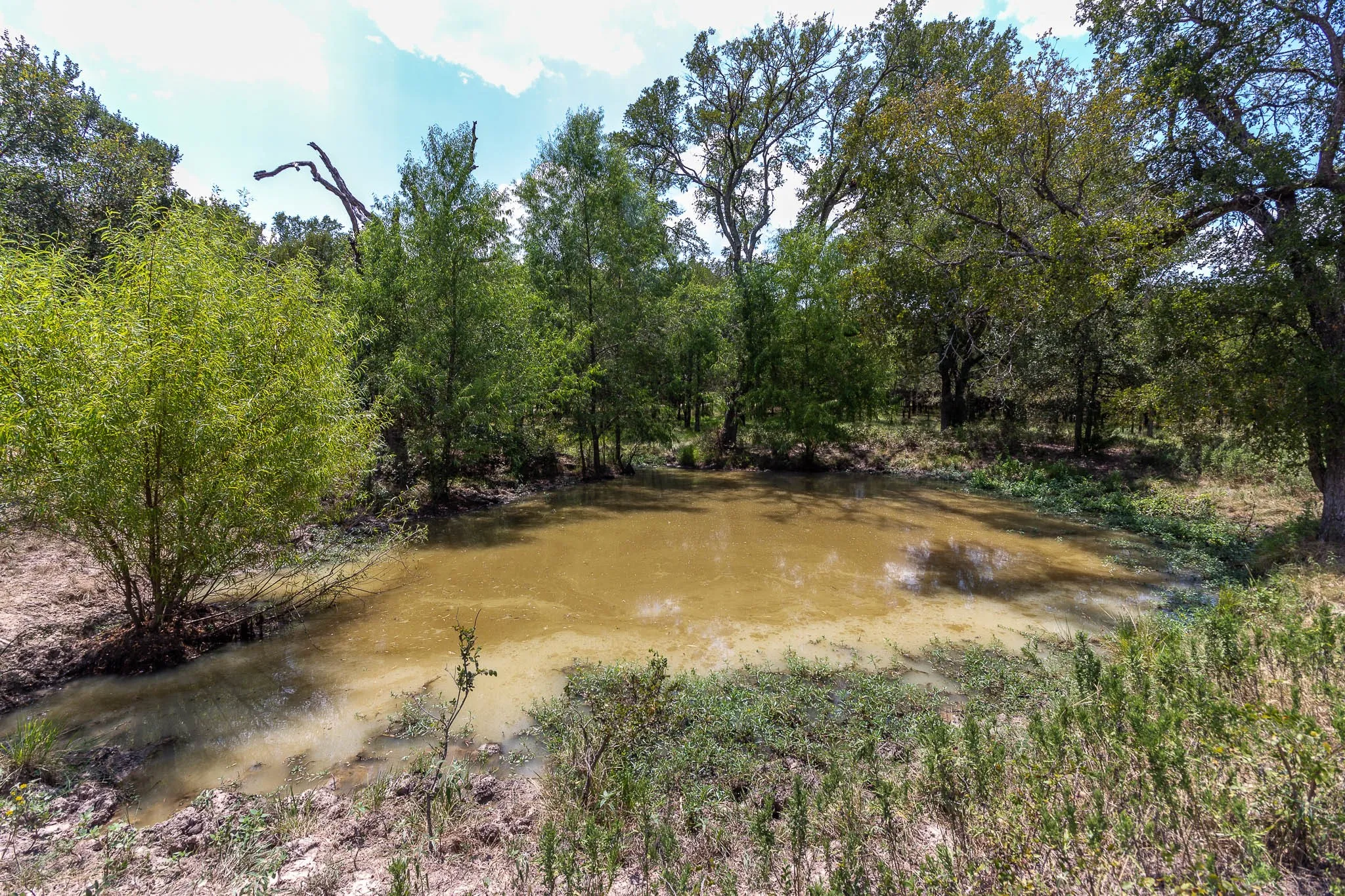 Unimproved Land For Sale in Kaufman County , 0 Co Rd 4076, Scurry, Texas 75158, 0, 0, Garage spaces, 0 Sqft, built in 0, mls#21322470, Real Estate Agent in Scurry, Homes For Sale in Kaufman county, Homes For Sale in Scurry, Realtor in Scurry Texas, Real Estate Brokerage Independent Realty Texas, Luminita Cordes Realtor