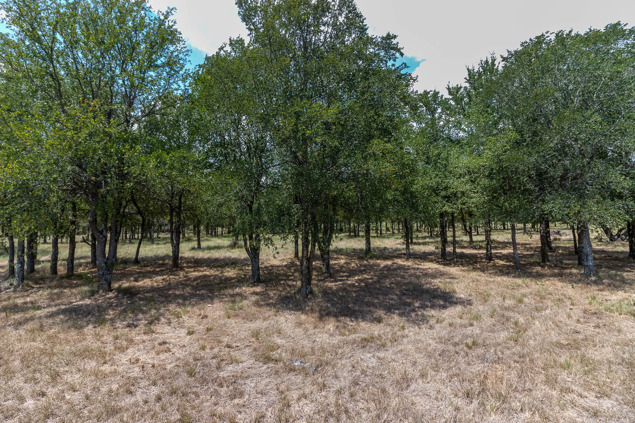Unimproved Land For Sale in Kaufman County , 0 Co Rd 4076, Scurry, Texas 75158, 0, 0, Garage spaces, 0 Sqft, built in 0, mls#21322470, Real Estate Agent in Scurry, Homes For Sale in Kaufman county, Homes For Sale in Scurry, Realtor in Scurry Texas, Real Estate Brokerage Independent Realty Texas, Luminita Cordes Realtor