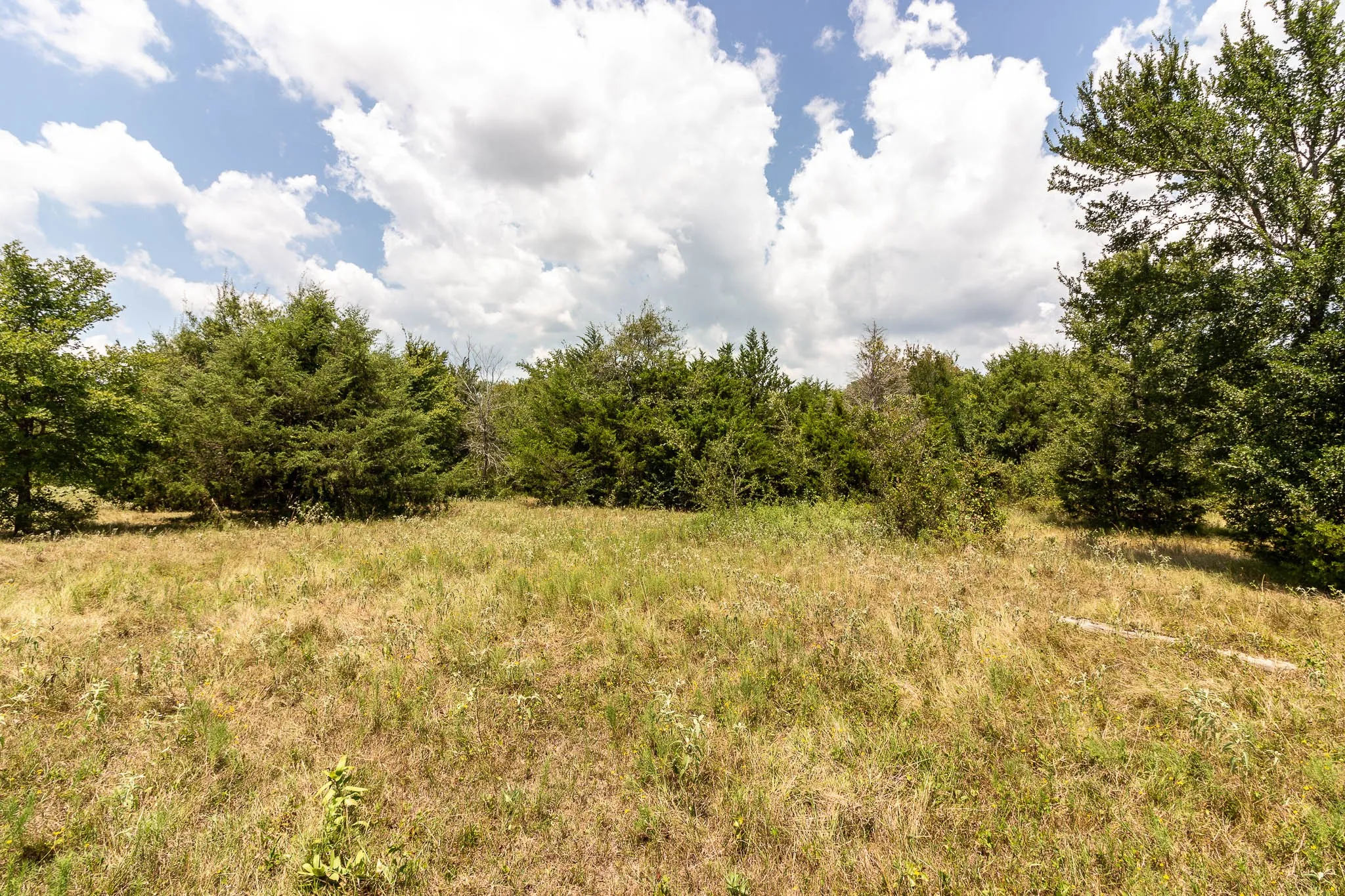 Unimproved Land For Sale in Kaufman County , 0 Co Rd 4076, Scurry, Texas 75158, 0, 0, Garage spaces, 0 Sqft, built in 0, mls#21322470, Real Estate Agent in Scurry, Homes For Sale in Kaufman county, Homes For Sale in Scurry, Realtor in Scurry Texas, Real Estate Brokerage Independent Realty Texas, Luminita Cordes Realtor