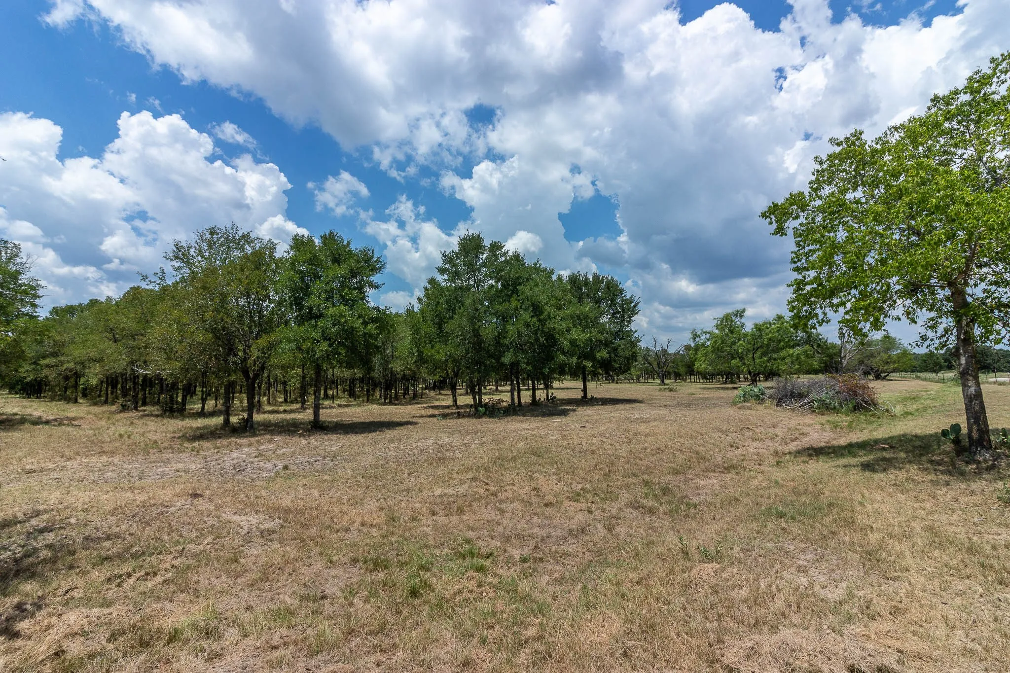 Unimproved Land For Sale in Kaufman County , 0 Co Rd 4076, Scurry, Texas 75158, 0, 0, Garage spaces, 0 Sqft, built in 0, mls#21322470, Real Estate Agent in Scurry, Homes For Sale in Kaufman county, Homes For Sale in Scurry, Realtor in Scurry Texas, Real Estate Brokerage Independent Realty Texas, Luminita Cordes Realtor