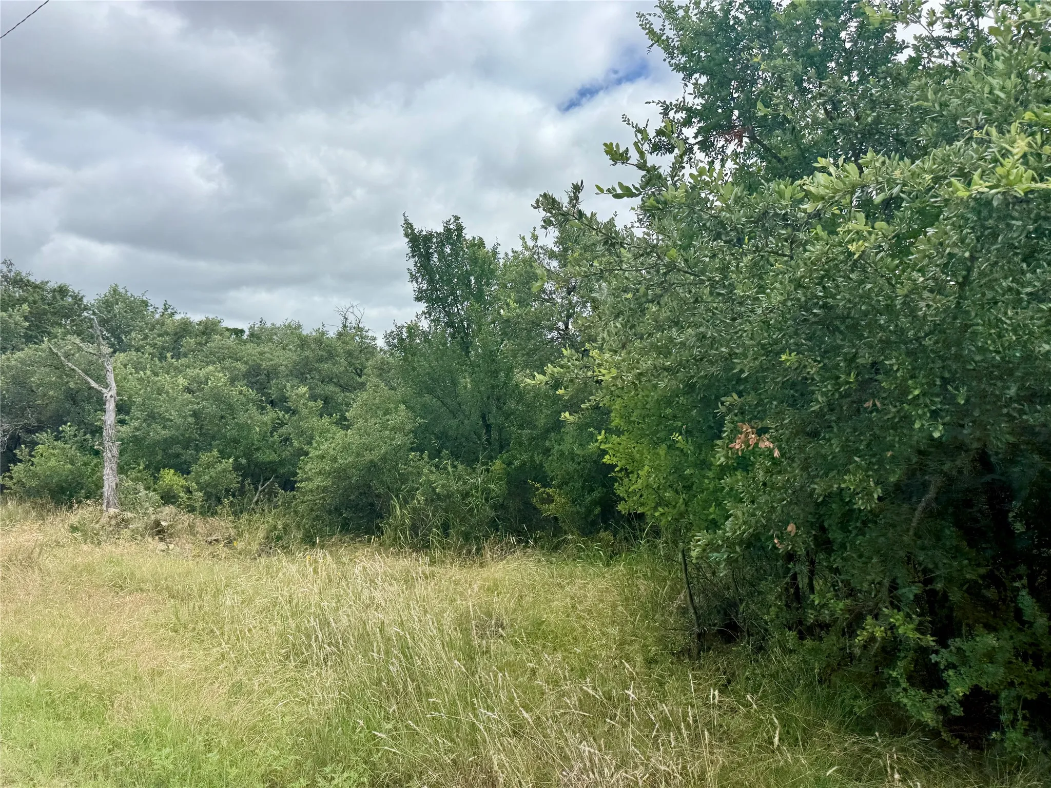Unimproved Land For Sale in Brown County , TBD Hillcrest Drive, Brownwood, Texas 76801, 0, 0, Garage spaces, 0 Sqft, built in 0, Price $59,000, mls#21324024, Real Estate Agent in Brownwood, Homes For Sale in Brown county, Homes For Sale in Brownwood, Realtor in Brownwood Texas, Real Estate Brokerage Independent Realty Texas, Luminita Cordes Realtor