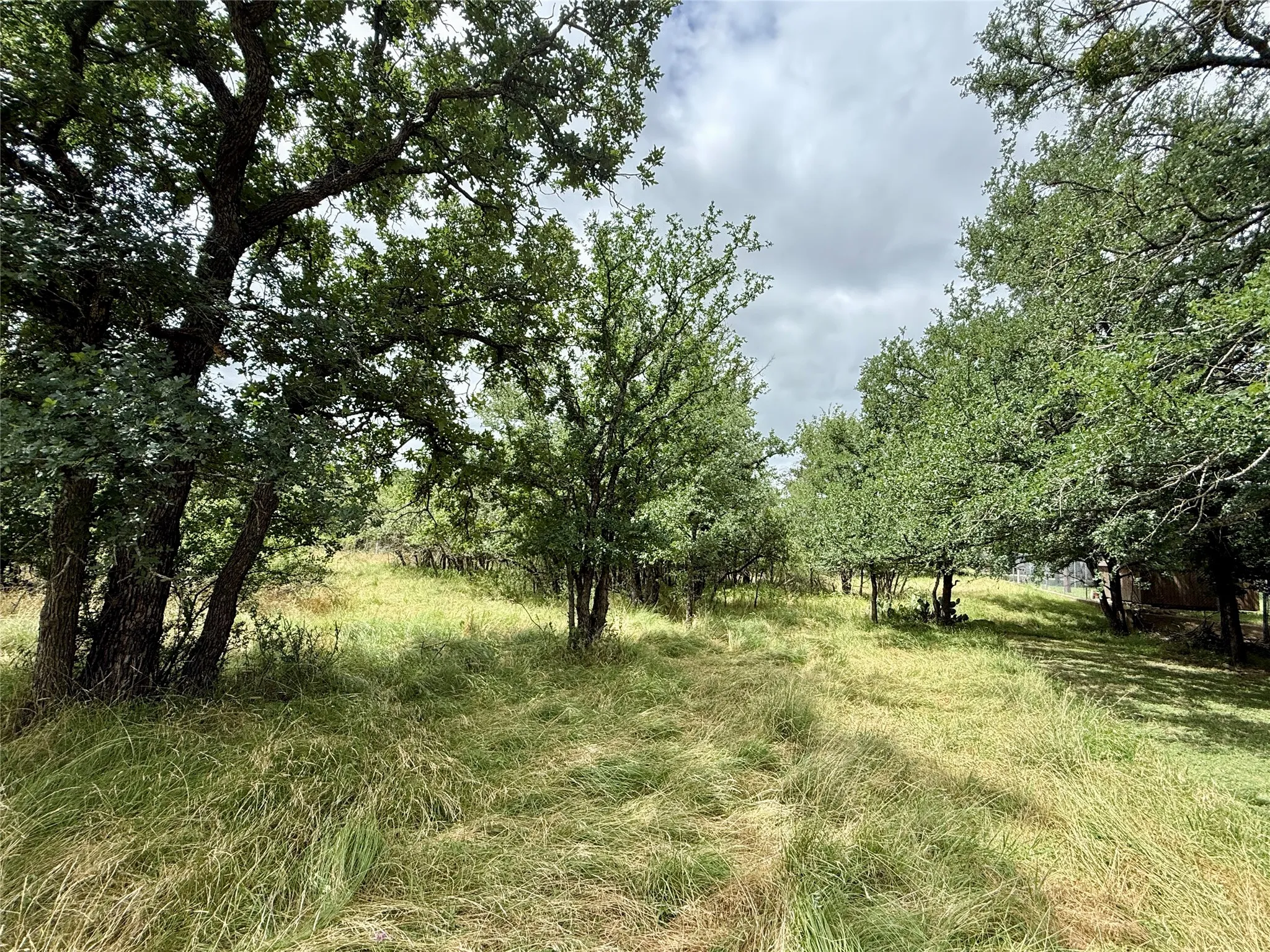 Unimproved Land For Sale in Brown County , TBD Hillcrest Drive, Brownwood, Texas 76801, 0, 0, Garage spaces, 0 Sqft, built in 0, Price $59,000, mls#21324024, Real Estate Agent in Brownwood, Homes For Sale in Brown county, Homes For Sale in Brownwood, Realtor in Brownwood Texas, Real Estate Brokerage Independent Realty Texas, Luminita Cordes Realtor