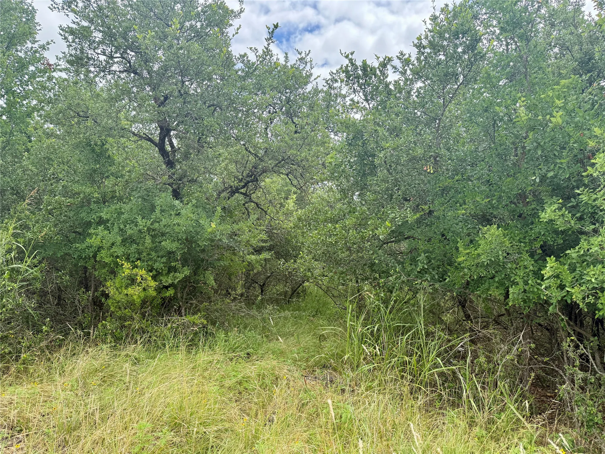 Unimproved Land For Sale in Brown County , TBD Hillcrest Drive, Brownwood, Texas 76801, 0, 0, Garage spaces, 0 Sqft, built in 0, Price $59,000, mls#21324024, Real Estate Agent in Brownwood, Homes For Sale in Brown county, Homes For Sale in Brownwood, Realtor in Brownwood Texas, Real Estate Brokerage Independent Realty Texas, Luminita Cordes Realtor