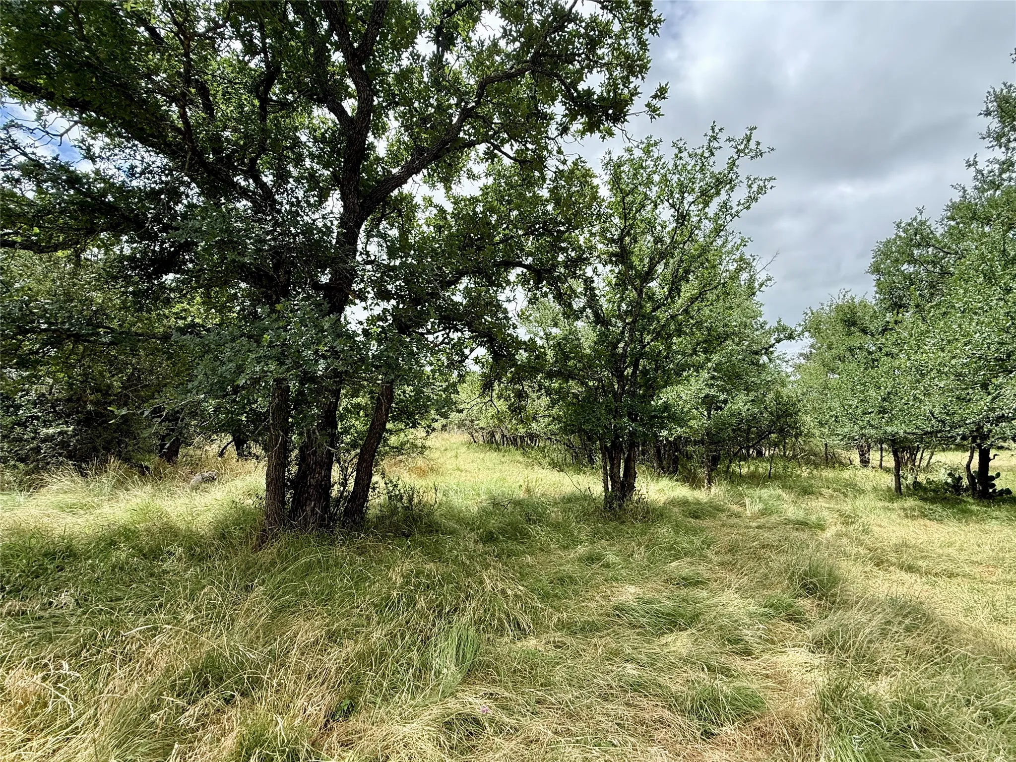 Unimproved Land For Sale in Brown County , TBD Hillcrest Drive, Brownwood, Texas 76801, 0, 0, Garage spaces, 0 Sqft, built in 0, Price $59,000, mls#21324024, Real Estate Agent in Brownwood, Homes For Sale in Brown county, Homes For Sale in Brownwood, Realtor in Brownwood Texas, Real Estate Brokerage Independent Realty Texas, Luminita Cordes Realtor