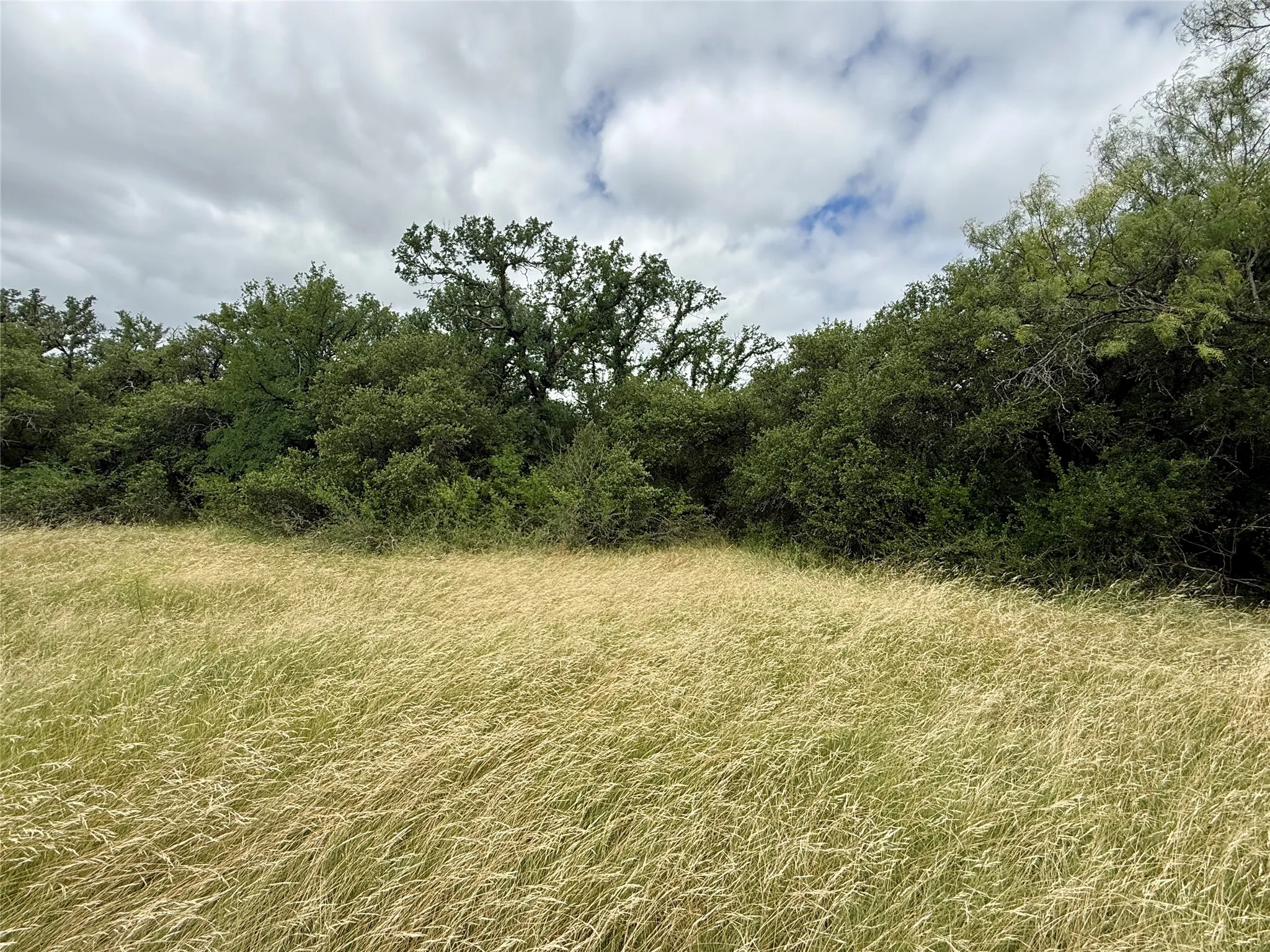 Unimproved Land For Sale in Brown County , TBD Hillcrest Drive, Brownwood, Texas 76801, 0, 0, Garage spaces, 0 Sqft, built in 0, Price $59,000, mls#21324024, Real Estate Agent in Brownwood, Homes For Sale in Brown county, Homes For Sale in Brownwood, Realtor in Brownwood Texas, Real Estate Brokerage Independent Realty Texas, Luminita Cordes Realtor