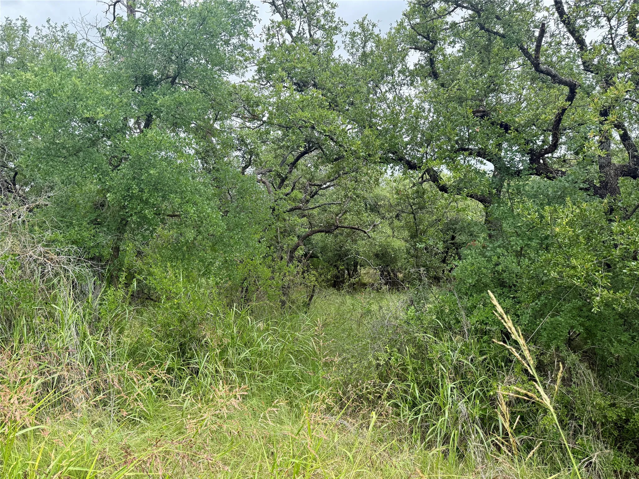 Unimproved Land For Sale in Brown County , TBD Hillcrest Drive, Brownwood, Texas 76801, 0, 0, Garage spaces, 0 Sqft, built in 0, Price $59,000, mls#21324024, Real Estate Agent in Brownwood, Homes For Sale in Brown county, Homes For Sale in Brownwood, Realtor in Brownwood Texas, Real Estate Brokerage Independent Realty Texas, Luminita Cordes Realtor