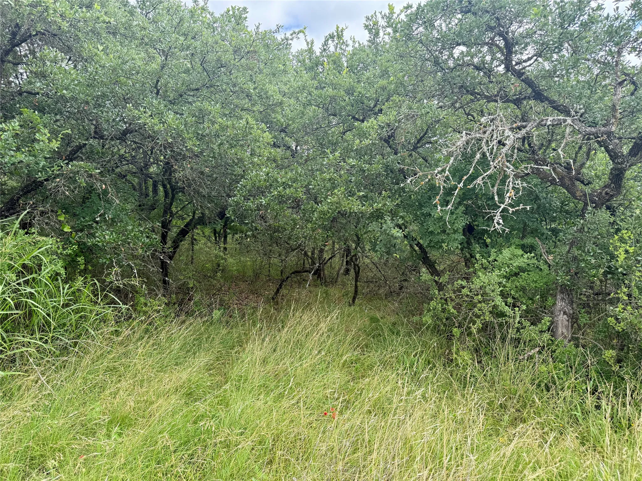Unimproved Land For Sale in Brown County , TBD Hillcrest Drive, Brownwood, Texas 76801, 0, 0, Garage spaces, 0 Sqft, built in 0, Price $59,000, mls#21324024, Real Estate Agent in Brownwood, Homes For Sale in Brown county, Homes For Sale in Brownwood, Realtor in Brownwood Texas, Real Estate Brokerage Independent Realty Texas, Luminita Cordes Realtor