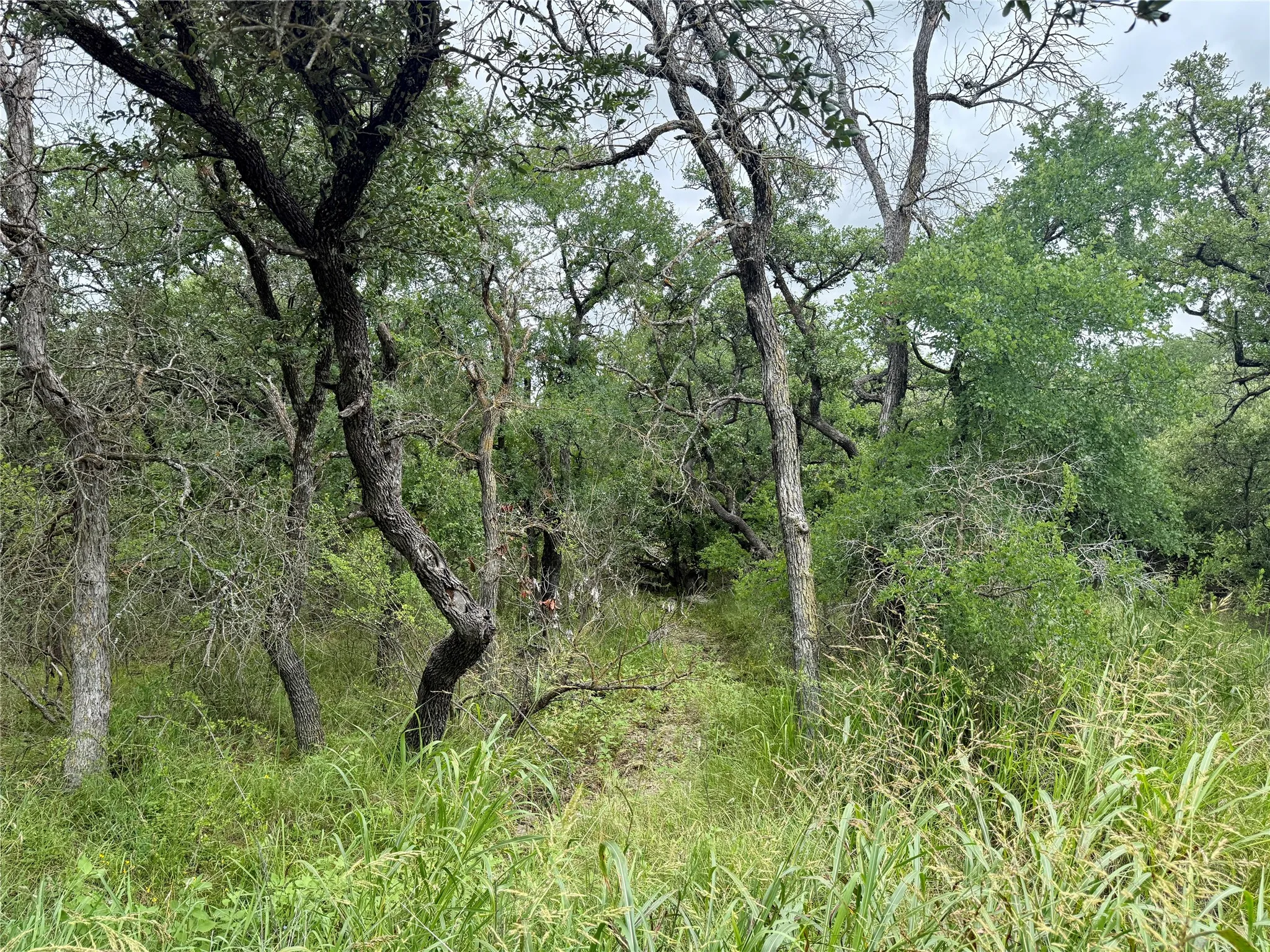 Unimproved Land For Sale in Brown County , TBD Hillcrest Drive, Brownwood, Texas 76801, 0, 0, Garage spaces, 0 Sqft, built in 0, Price $59,000, mls#21324024, Real Estate Agent in Brownwood, Homes For Sale in Brown county, Homes For Sale in Brownwood, Realtor in Brownwood Texas, Real Estate Brokerage Independent Realty Texas, Luminita Cordes Realtor