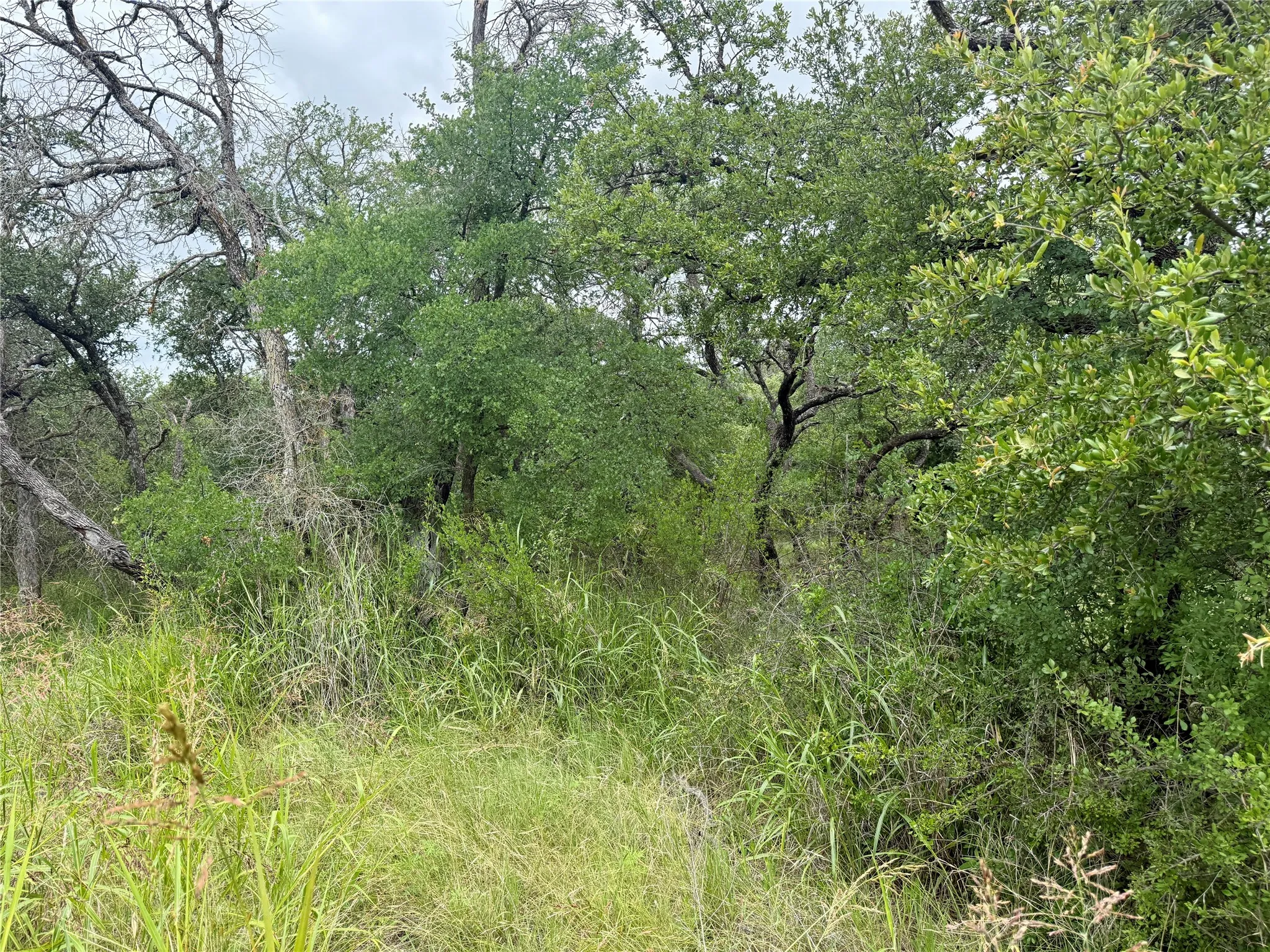 Unimproved Land For Sale in Brown County , TBD Hillcrest Drive, Brownwood, Texas 76801, 0, 0, Garage spaces, 0 Sqft, built in 0, Price $59,000, mls#21324024, Real Estate Agent in Brownwood, Homes For Sale in Brown county, Homes For Sale in Brownwood, Realtor in Brownwood Texas, Real Estate Brokerage Independent Realty Texas, Luminita Cordes Realtor