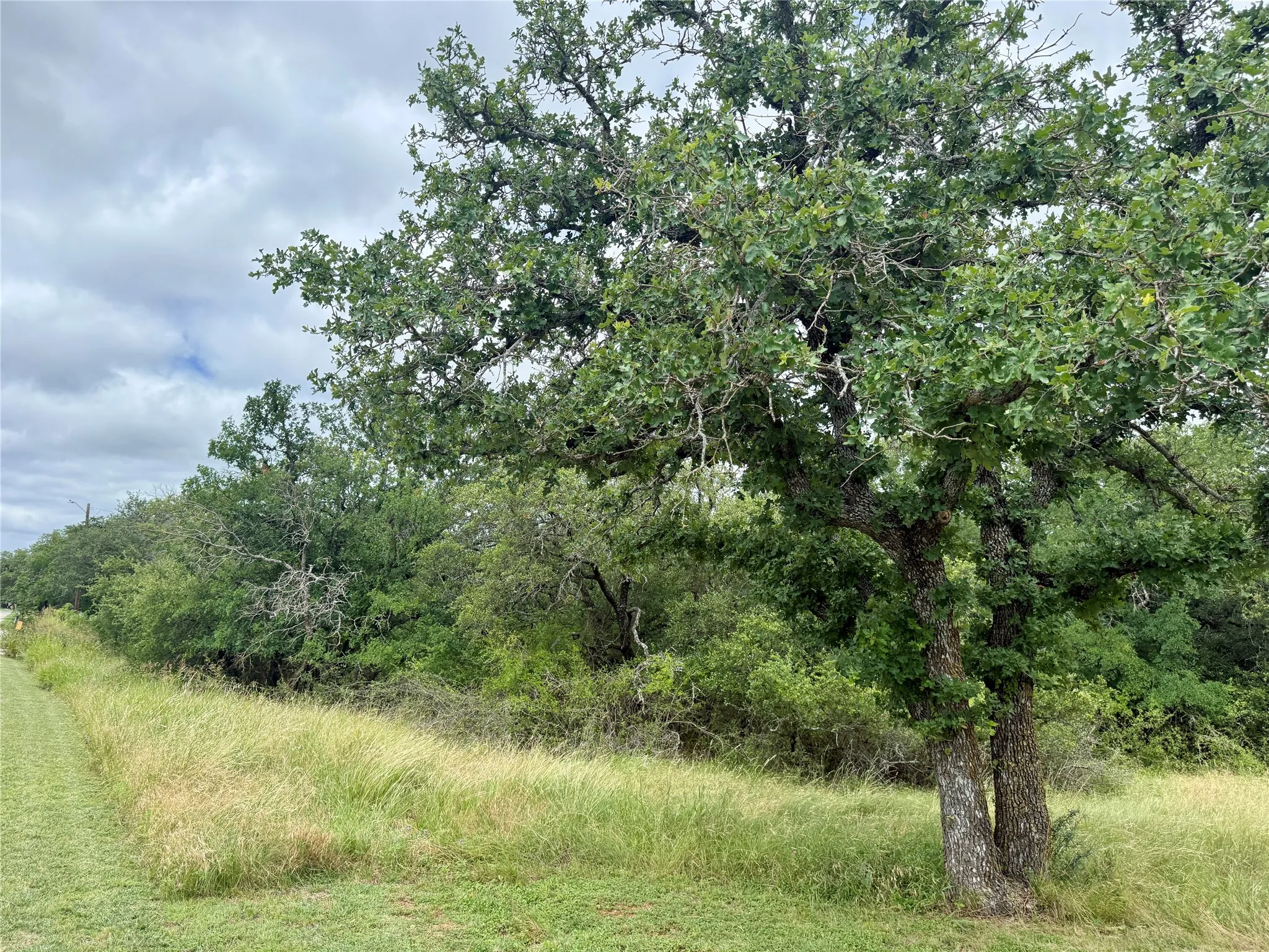 Unimproved Land For Sale in Brown County , TBD Hillcrest Drive, Brownwood, Texas 76801, 0, 0, Garage spaces, 0 Sqft, built in 0, Price $59,000, mls#21324024, Real Estate Agent in Brownwood, Homes For Sale in Brown county, Homes For Sale in Brownwood, Realtor in Brownwood Texas, Real Estate Brokerage Independent Realty Texas, Luminita Cordes Realtor