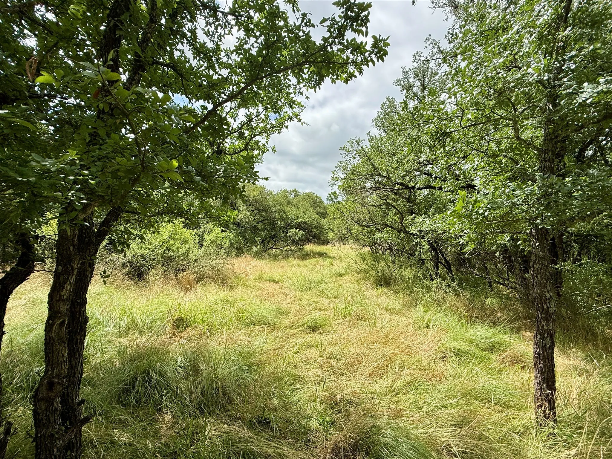 Unimproved Land For Sale in Brown County , TBD Hillcrest Drive, Brownwood, Texas 76801, 0, 0, Garage spaces, 0 Sqft, built in 0, Price $59,000, mls#21324024, Real Estate Agent in Brownwood, Homes For Sale in Brown county, Homes For Sale in Brownwood, Realtor in Brownwood Texas, Real Estate Brokerage Independent Realty Texas, Luminita Cordes Realtor