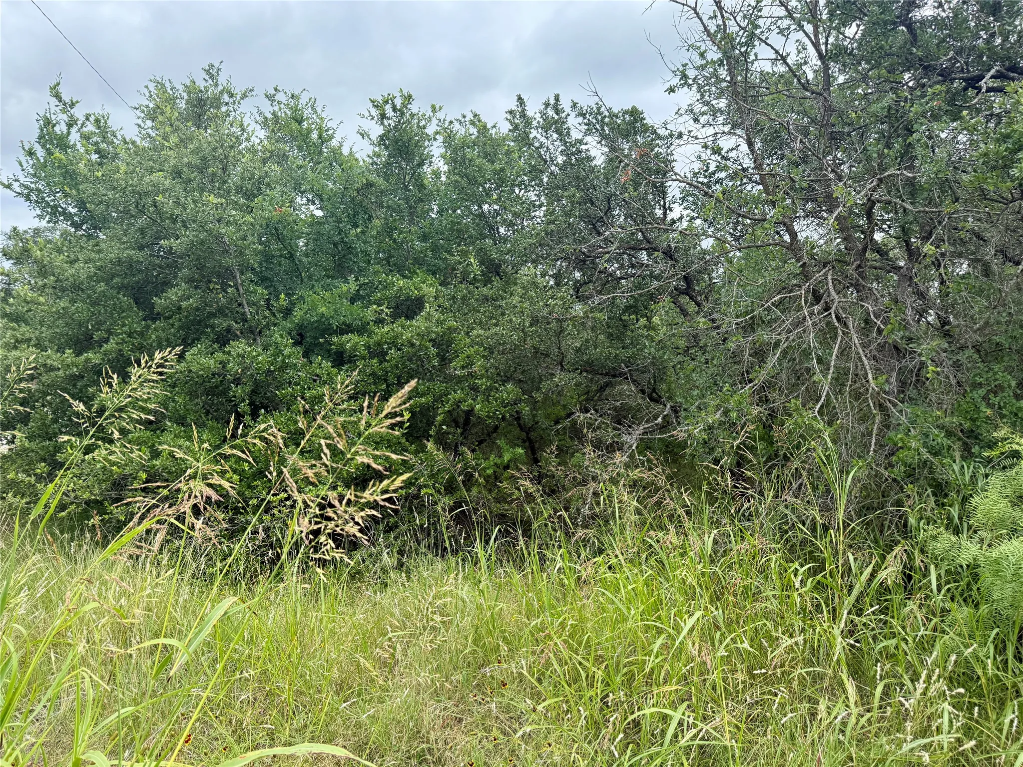 Unimproved Land For Sale in Brown County , TBD Hillcrest Drive, Brownwood, Texas 76801, 0, 0, Garage spaces, 0 Sqft, built in 0, Price $59,000, mls#21324024, Real Estate Agent in Brownwood, Homes For Sale in Brown county, Homes For Sale in Brownwood, Realtor in Brownwood Texas, Real Estate Brokerage Independent Realty Texas, Luminita Cordes Realtor