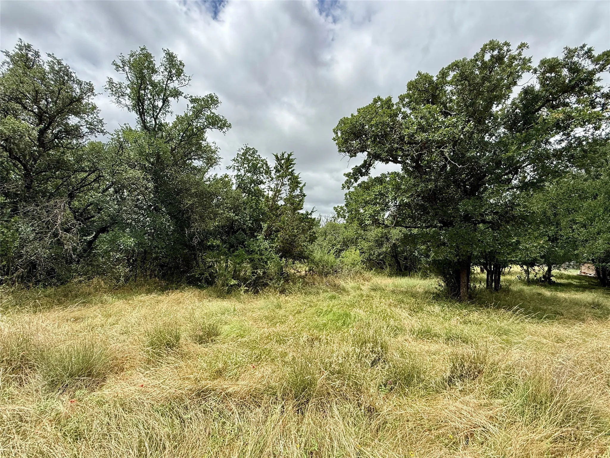 Unimproved Land For Sale in Brown County , TBD Hillcrest Drive, Brownwood, Texas 76801, 0, 0, Garage spaces, 0 Sqft, built in 0, Price $59,000, mls#21324024, Real Estate Agent in Brownwood, Homes For Sale in Brown county, Homes For Sale in Brownwood, Realtor in Brownwood Texas, Real Estate Brokerage Independent Realty Texas, Luminita Cordes Realtor