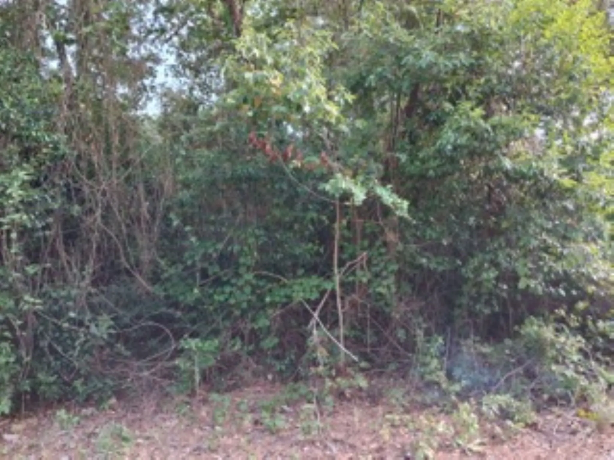 lot photo from the street
