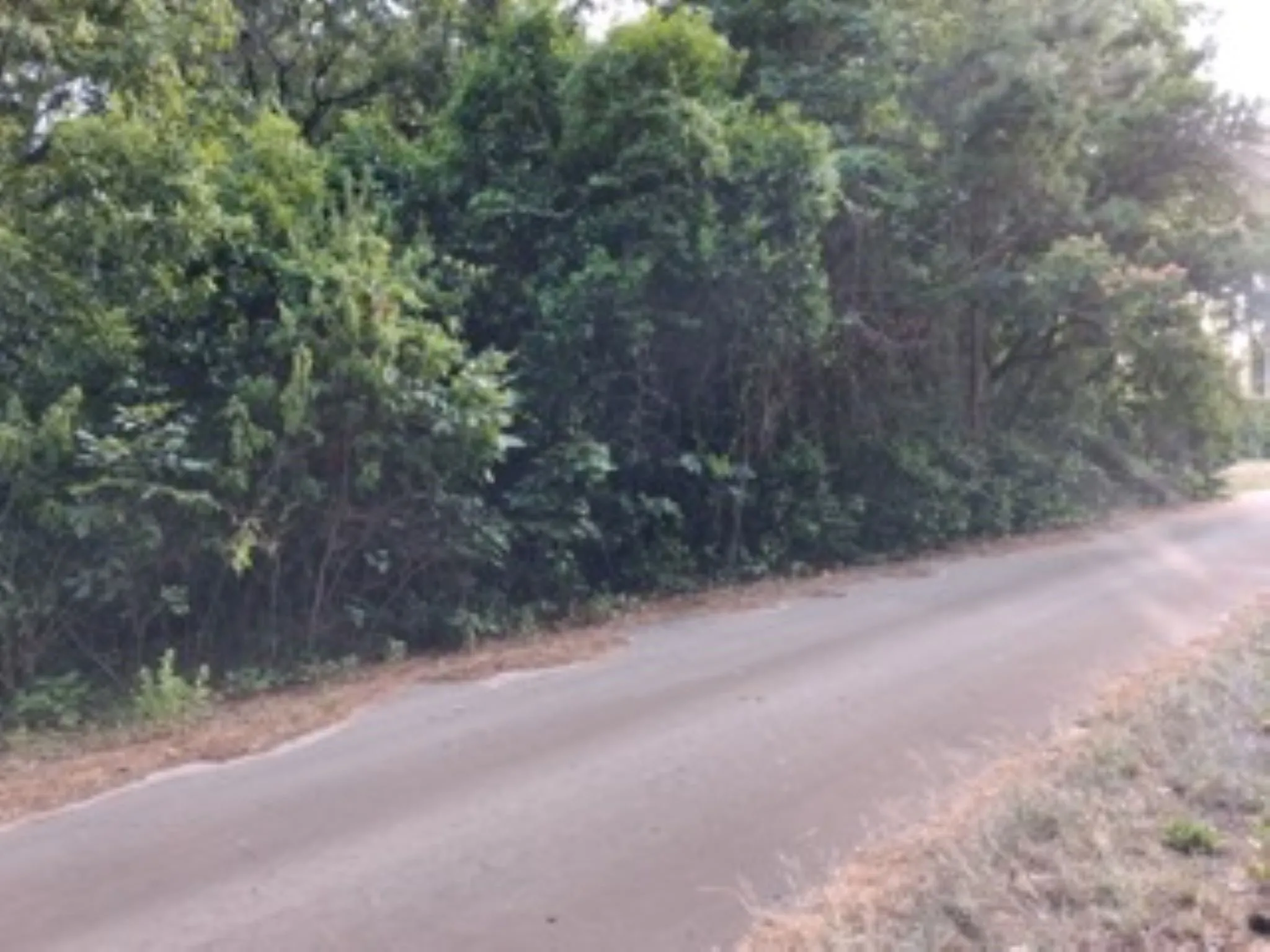 Unimproved Land For Sale in Van Zandt County , tbd Chapparal Run, Murchison, Texas 75778, 0, 0, Garage spaces, 0 Sqft, built in 0, mls#21322941, Real Estate Agent in Murchison, Homes For Sale in Van Zandt county, Homes For Sale in Murchison, Realtor in Murchison Texas, Real Estate Brokerage Independent Realty Texas, Luminita Cordes Realtor
