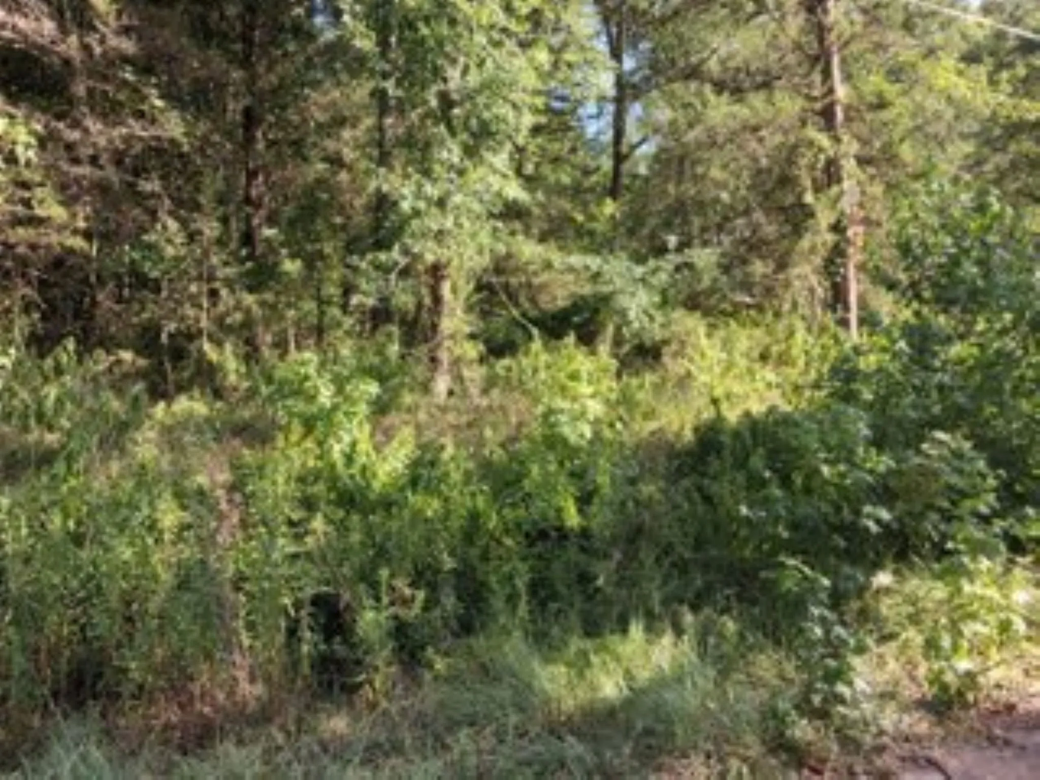 Unimproved Land For Sale in Van Zandt County , 000 Dogwood Drive, Murchison, Texas 75778, 0, 0, Garage spaces, 0 Sqft, built in 0, Price $9,900, mls#21323087, Real Estate Agent in Murchison, Homes For Sale in Van Zandt county, Homes For Sale in Murchison, Realtor in Murchison Texas, Real Estate Brokerage Independent Realty Texas, Luminita Cordes Realtor