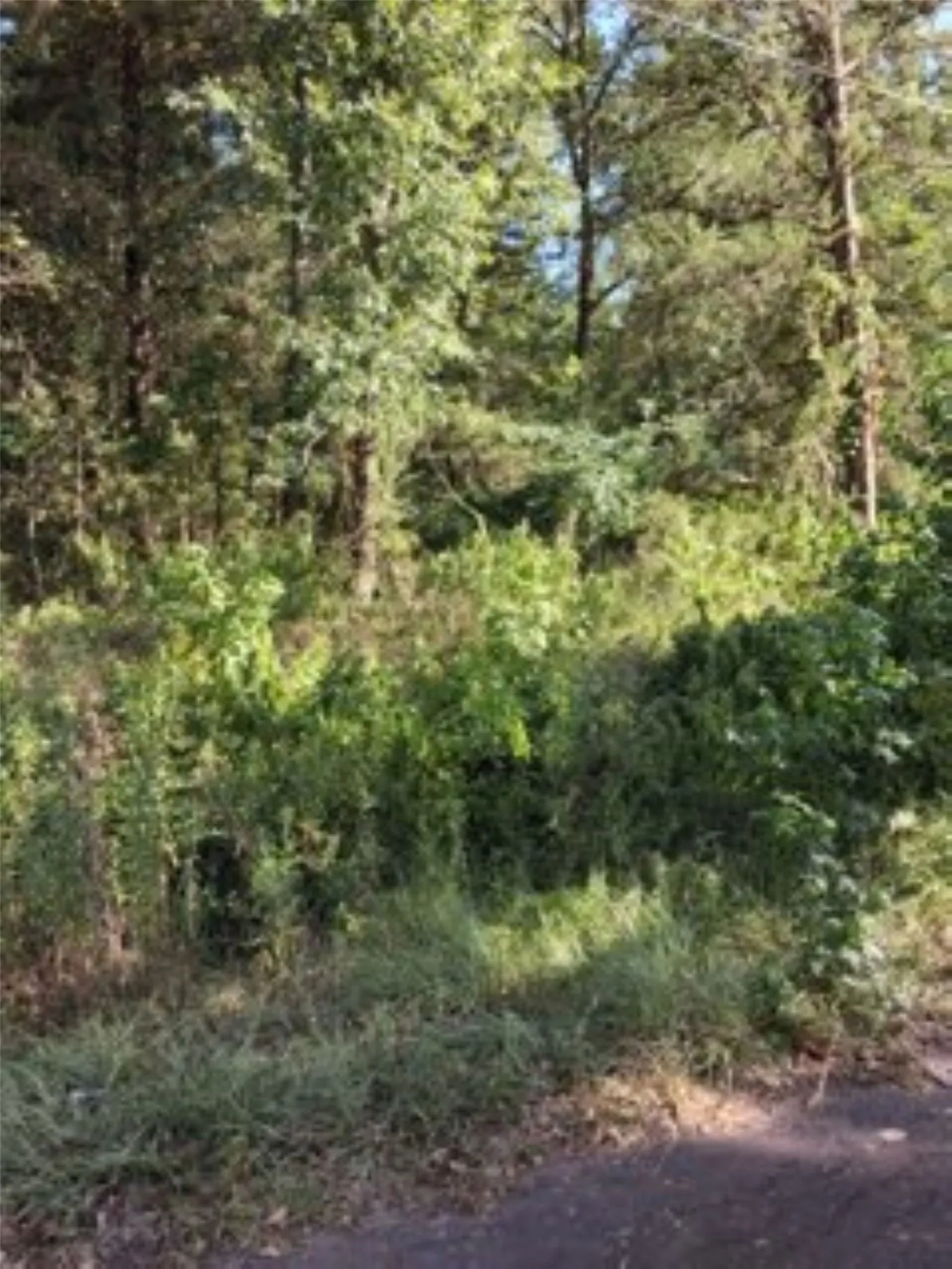 .24 acre lot in Callender Lake