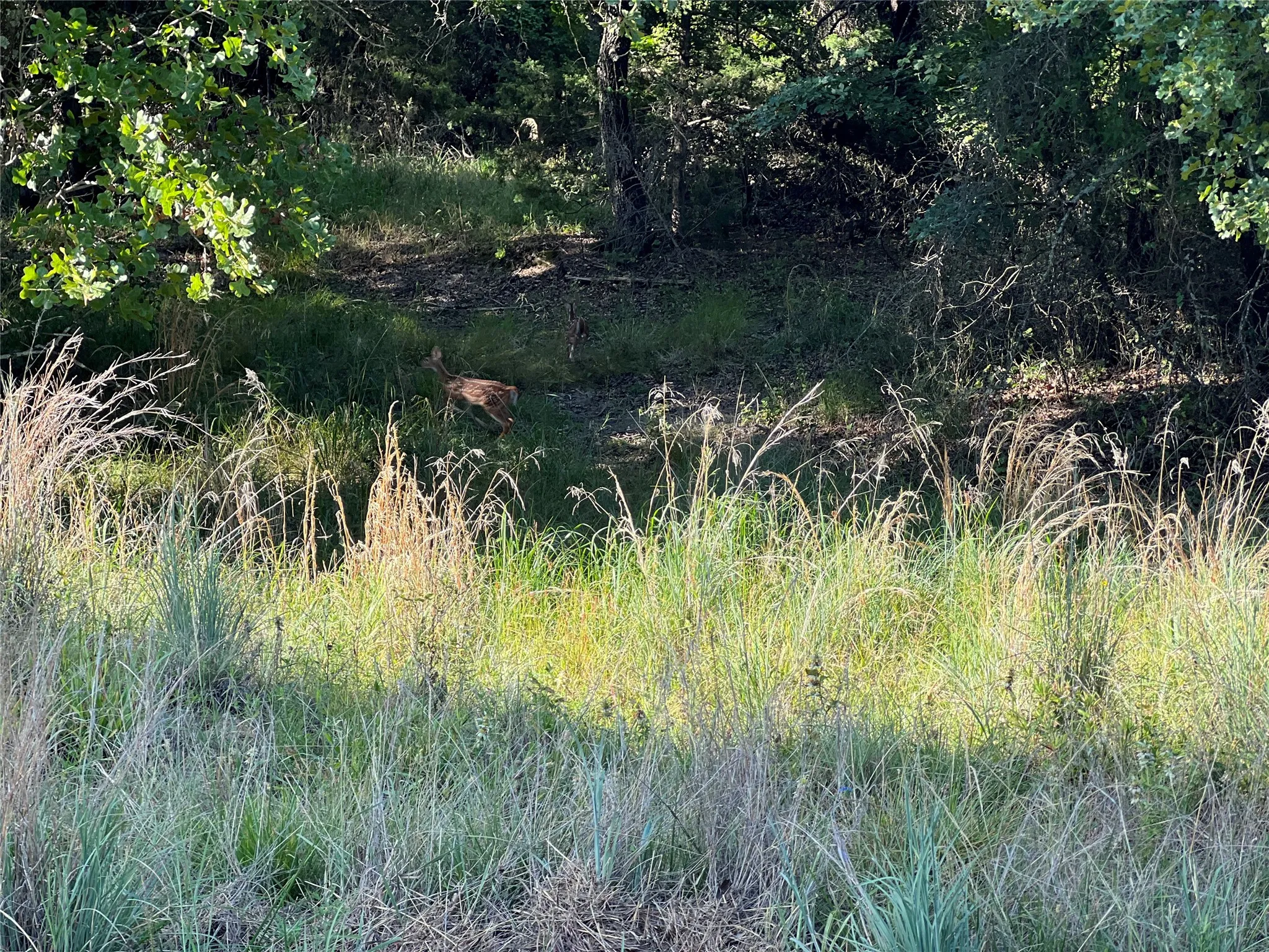 Unimproved Land For Sale in Montague County , 159 Fairway Drive, Nocona, Texas 76255, 0, 0, Garage spaces, 0 Sqft, built in 0, Price $15,000, mls#21324122, Real Estate Agent in Nocona, Homes For Sale in Montague county, Homes For Sale in Nocona, Realtor in Nocona Texas, Real Estate Brokerage Independent Realty Texas, Luminita Cordes Realtor
