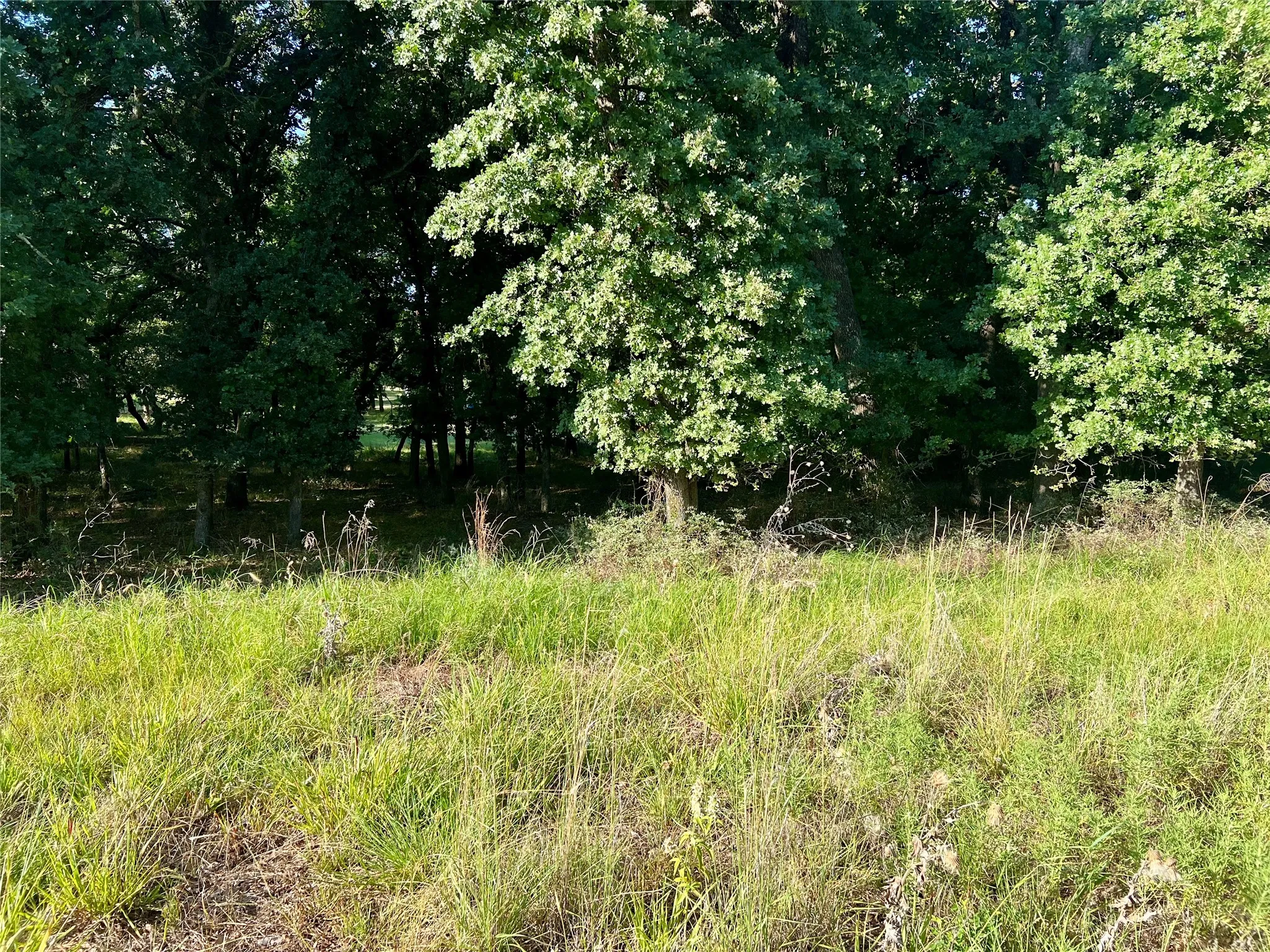 Unimproved Land For Sale in Montague County , 159 Fairway Drive, Nocona, Texas 76255, 0, 0, Garage spaces, 0 Sqft, built in 0, Price $15,000, mls#21324122, Real Estate Agent in Nocona, Homes For Sale in Montague county, Homes For Sale in Nocona, Realtor in Nocona Texas, Real Estate Brokerage Independent Realty Texas, Luminita Cordes Realtor