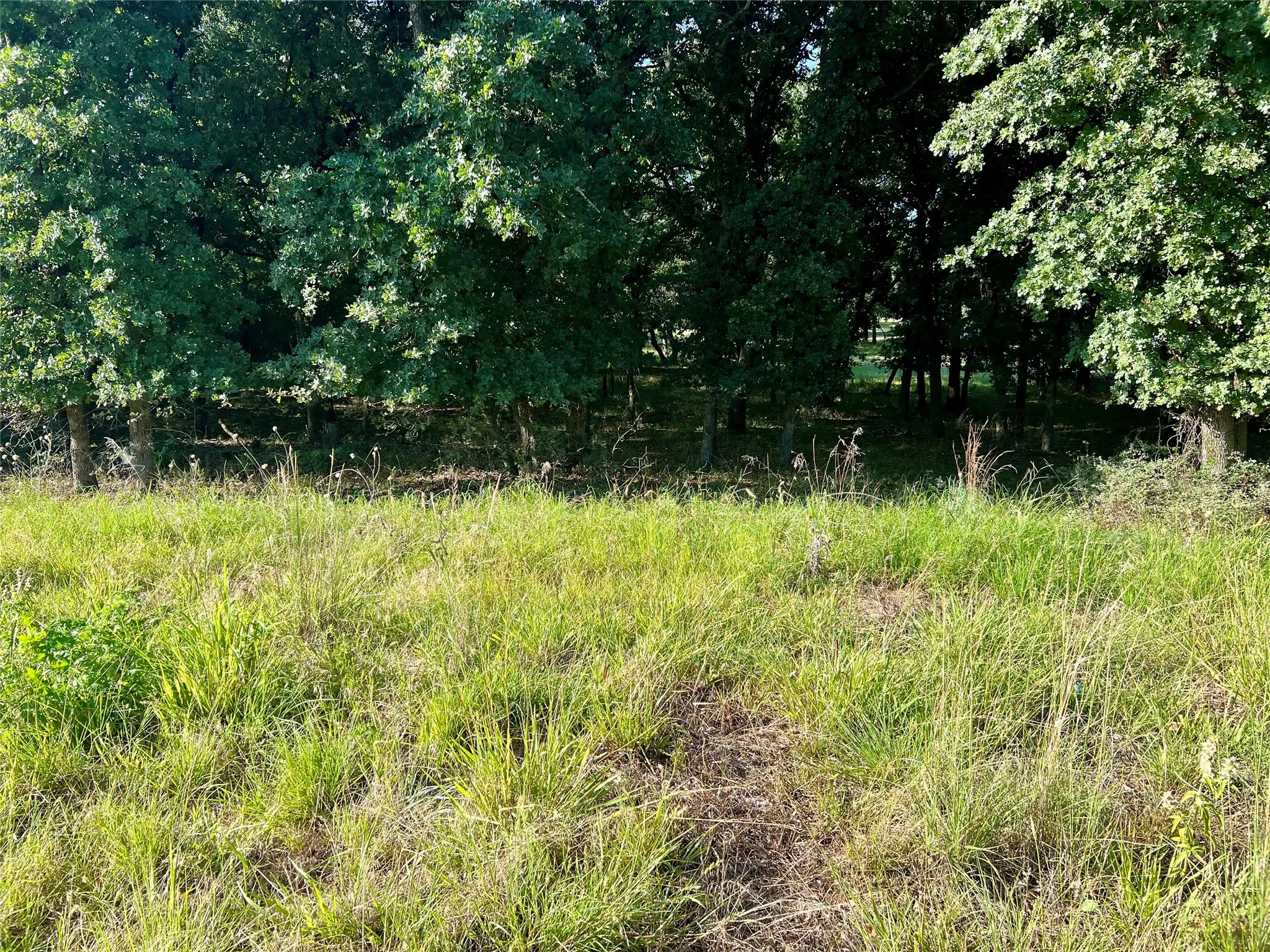 Unimproved Land For Sale in Montague County , 159 Fairway Drive, Nocona, Texas 76255, 0, 0, Garage spaces, 0 Sqft, built in 0, Price $15,000, mls#21324122, Real Estate Agent in Nocona, Homes For Sale in Montague county, Homes For Sale in Nocona, Realtor in Nocona Texas, Real Estate Brokerage Independent Realty Texas, Luminita Cordes Realtor