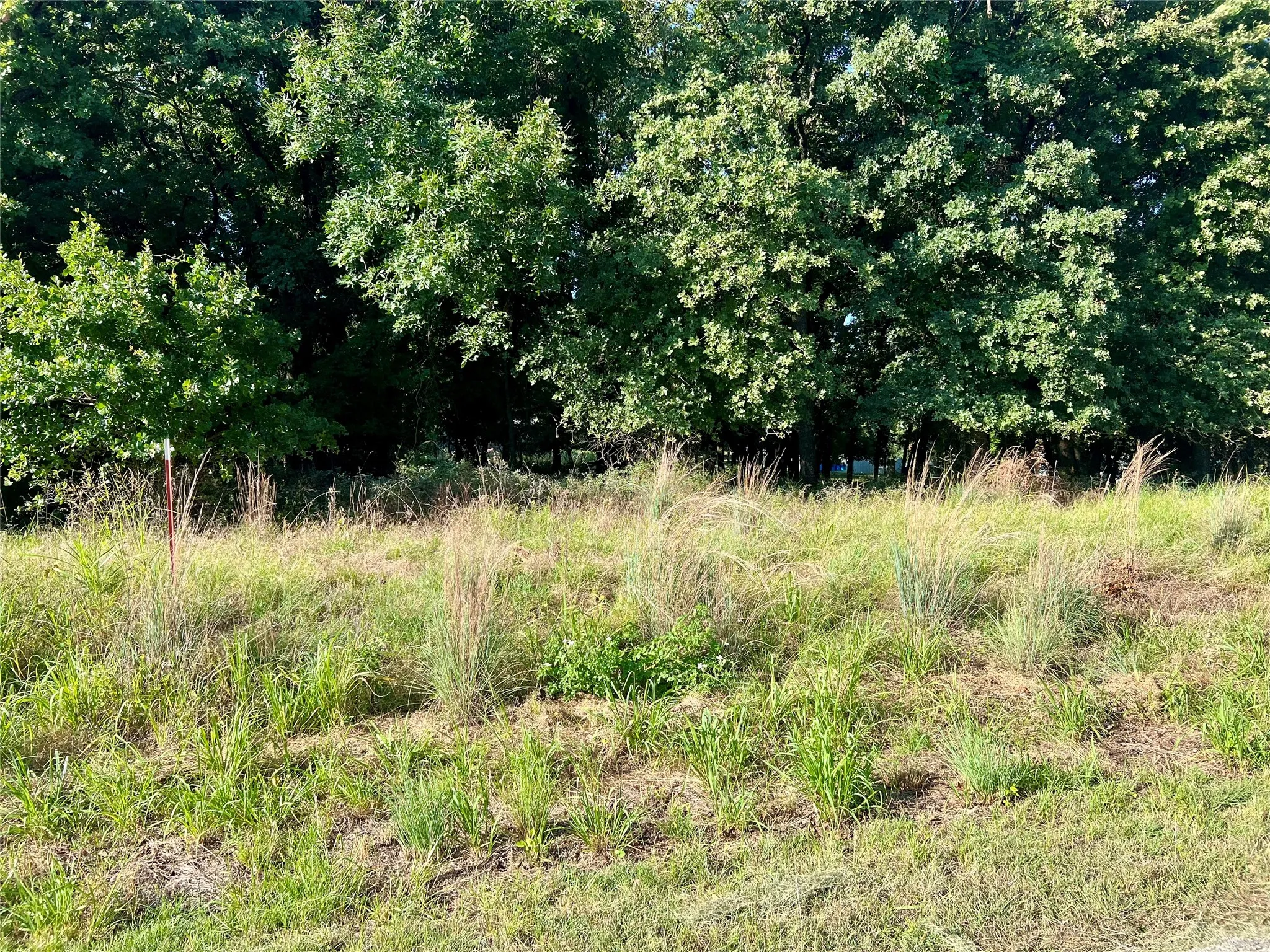 Unimproved Land For Sale in Montague County , 159 Fairway Drive, Nocona, Texas 76255, 0, 0, Garage spaces, 0 Sqft, built in 0, Price $15,000, mls#21324122, Real Estate Agent in Nocona, Homes For Sale in Montague county, Homes For Sale in Nocona, Realtor in Nocona Texas, Real Estate Brokerage Independent Realty Texas, Luminita Cordes Realtor