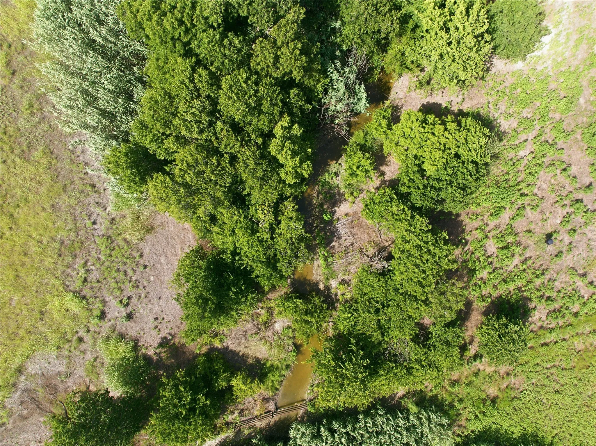 Unimproved Land For Sale in Mc Lennan County , TBD Eddy Gatesville Parkway, Moody, Texas 76557, 0, 0, Garage spaces, 0 Sqft, built in 0, mls#21317083, Real Estate Agent in Moody, Homes For Sale in Mc Lennan county, Homes For Sale in Moody, Realtor in Moody Texas, Real Estate Brokerage Independent Realty Texas, Luminita Cordes Realtor