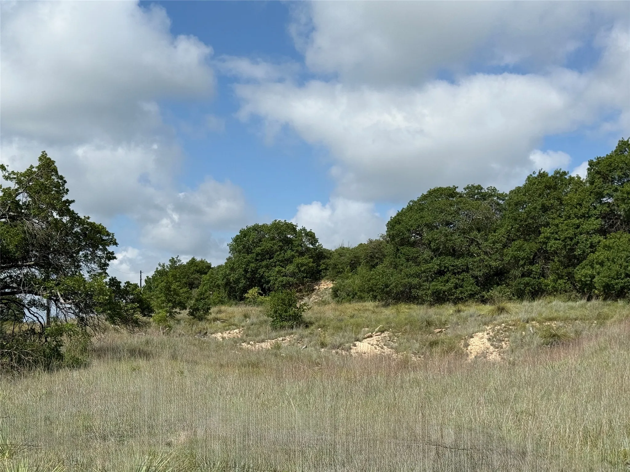 Unimproved Land For Sale in Coleman County , 1315 County Road 419, Coleman, Texas 76834, 0, 0, Garage spaces, 0 Sqft, built in 0, Price $125,000, mls#21324163, Real Estate Agent in Coleman, Homes For Sale in Coleman county, Homes For Sale in Coleman, Realtor in Coleman Texas, Real Estate Brokerage Independent Realty Texas, Luminita Cordes Realtor