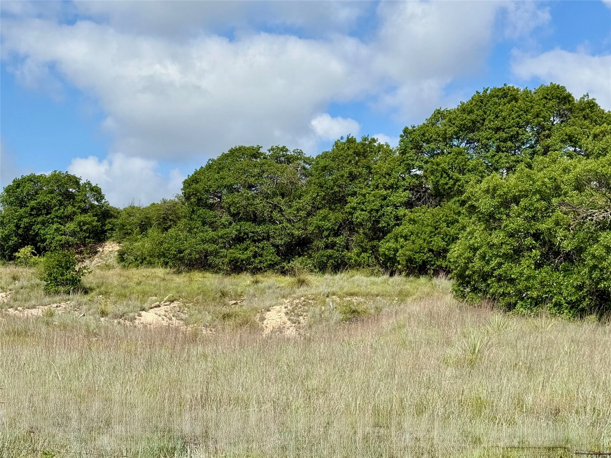 Unimproved Land For Sale in Coleman County , 1315 County Road 419, Coleman, Texas 76834, 0, 0, Garage spaces, 0 Sqft, built in 0, Price $125,000, mls#21324163, Real Estate Agent in Coleman, Homes For Sale in Coleman county, Homes For Sale in Coleman, Realtor in Coleman Texas, Real Estate Brokerage Independent Realty Texas, Luminita Cordes Realtor