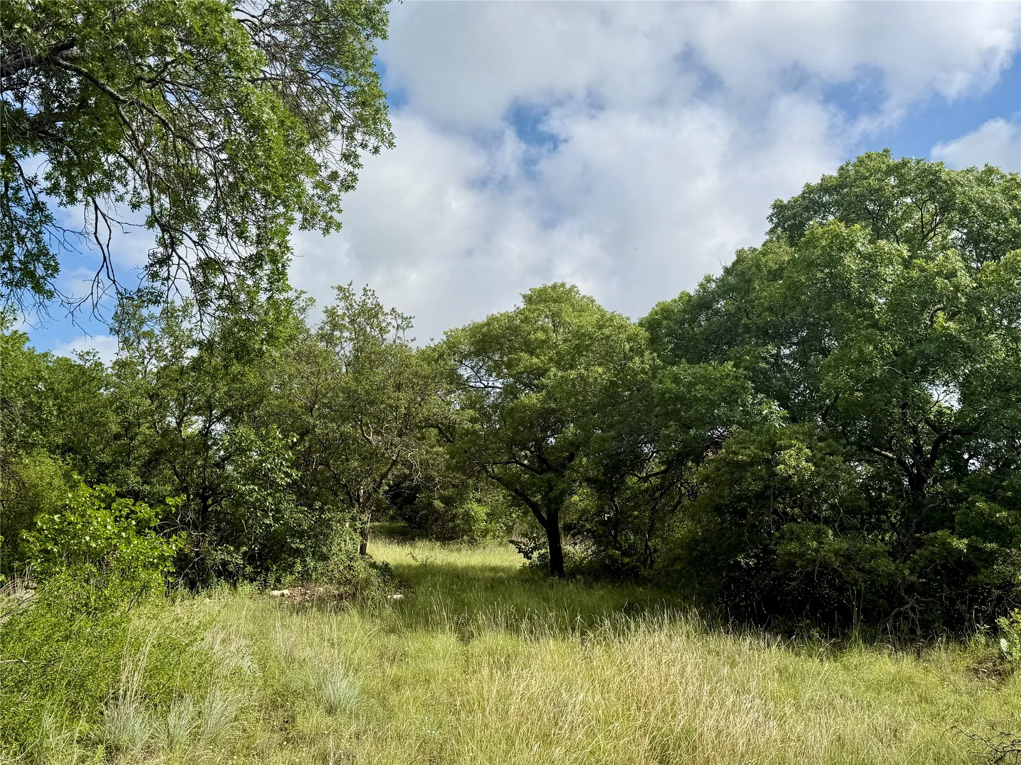Unimproved Land For Sale in Coleman County , 1315 County Road 419, Coleman, Texas 76834, 0, 0, Garage spaces, 0 Sqft, built in 0, Price $125,000, mls#21324163, Real Estate Agent in Coleman, Homes For Sale in Coleman county, Homes For Sale in Coleman, Realtor in Coleman Texas, Real Estate Brokerage Independent Realty Texas, Luminita Cordes Realtor
