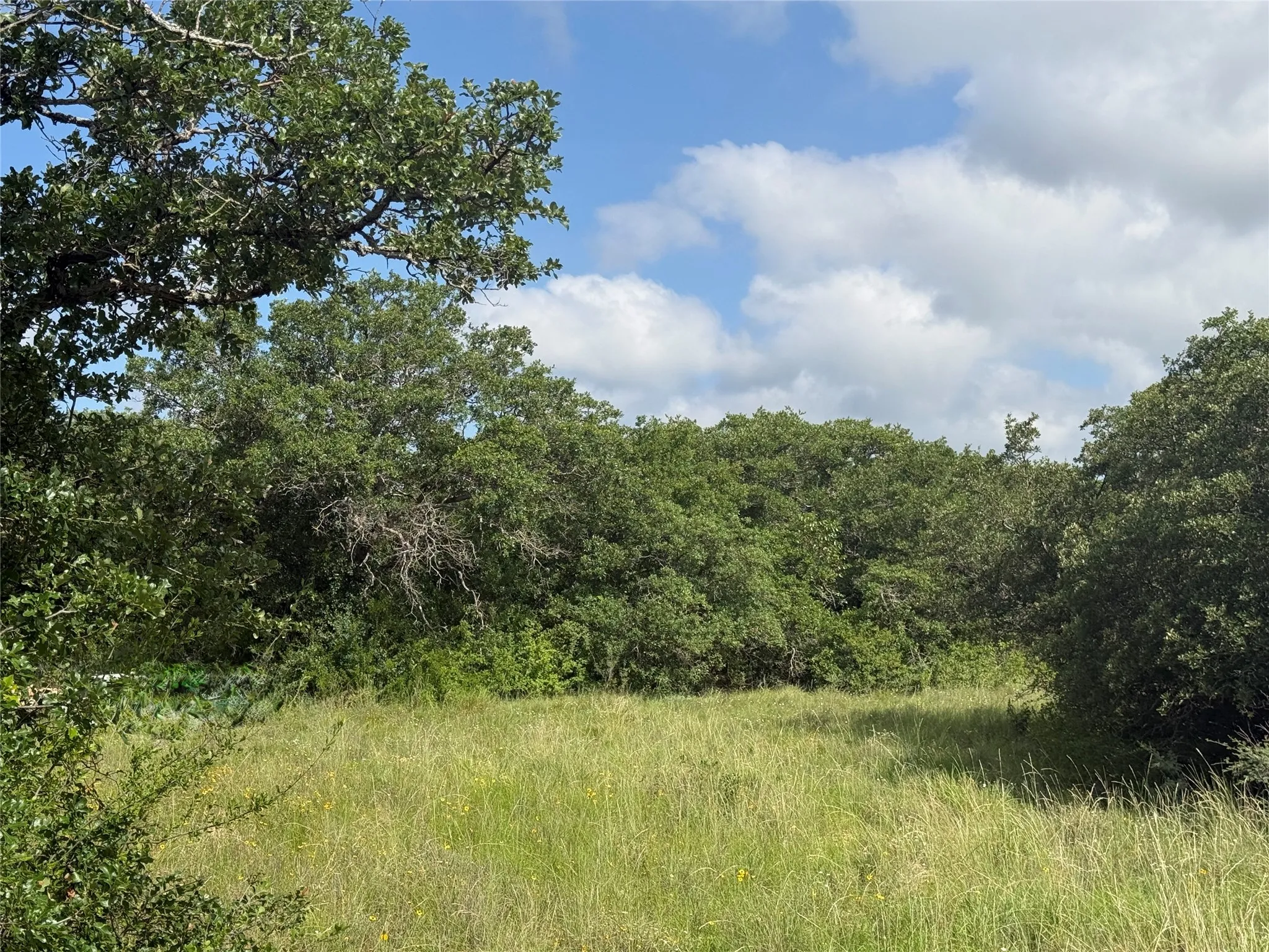 Unimproved Land For Sale in Coleman County , 1315 County Road 419, Coleman, Texas 76834, 0, 0, Garage spaces, 0 Sqft, built in 0, Price $125,000, mls#21324163, Real Estate Agent in Coleman, Homes For Sale in Coleman county, Homes For Sale in Coleman, Realtor in Coleman Texas, Real Estate Brokerage Independent Realty Texas, Luminita Cordes Realtor