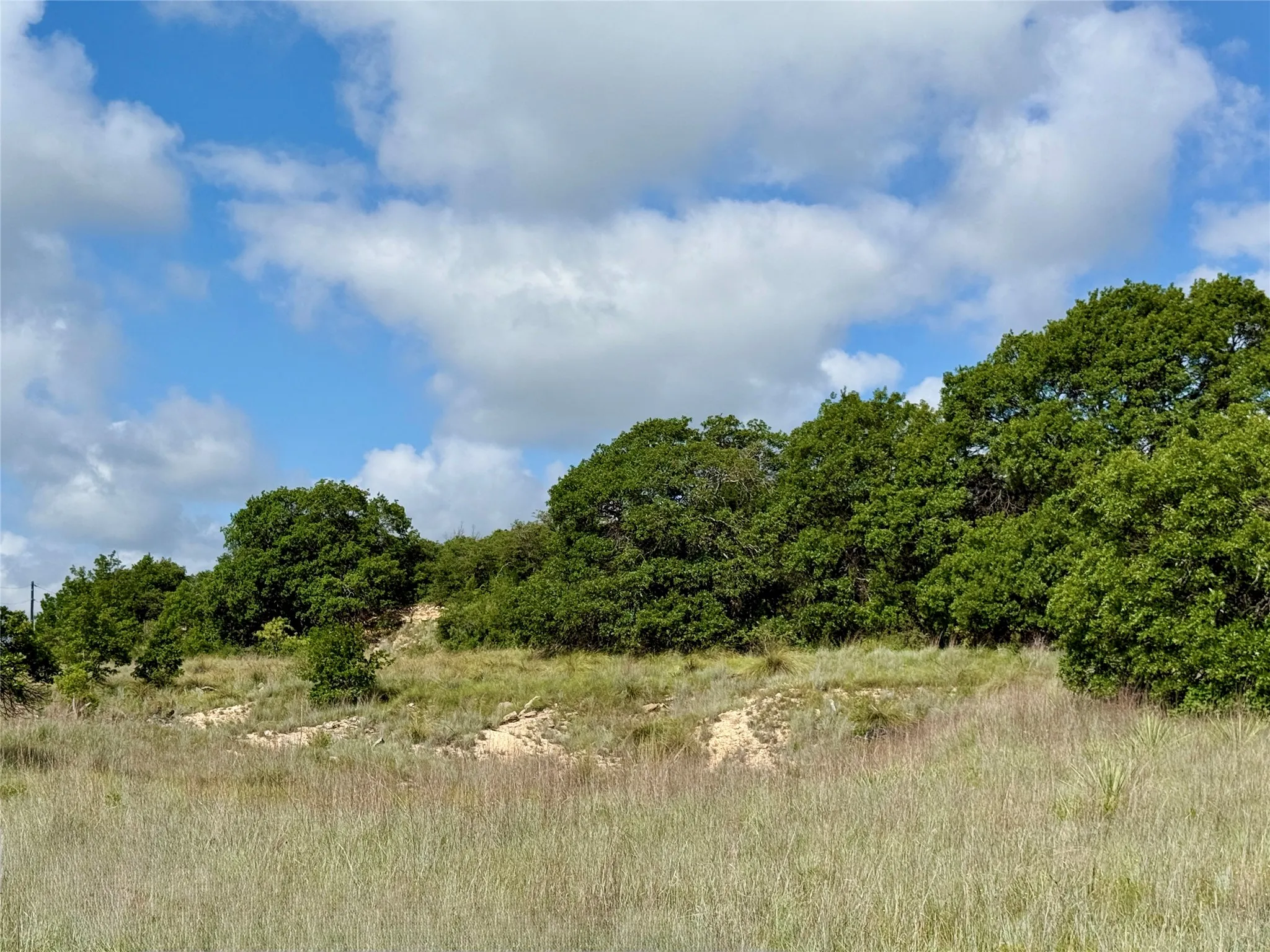 Unimproved Land For Sale in Coleman County , 1315 County Road 419, Coleman, Texas 76834, 0, 0, Garage spaces, 0 Sqft, built in 0, Price $125,000, mls#21324163, Real Estate Agent in Coleman, Homes For Sale in Coleman county, Homes For Sale in Coleman, Realtor in Coleman Texas, Real Estate Brokerage Independent Realty Texas, Luminita Cordes Realtor