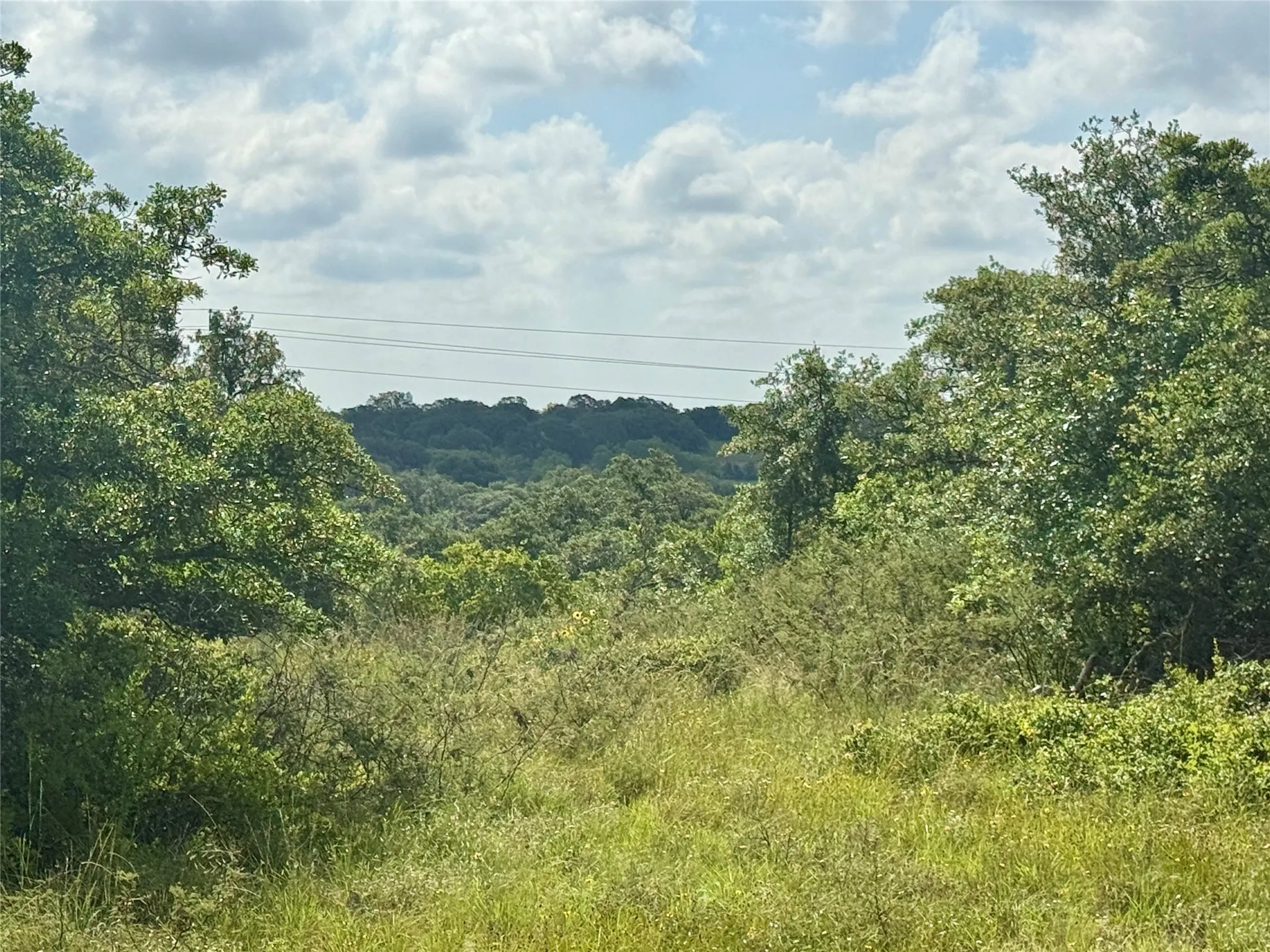 Unimproved Land For Sale in Coleman County , 1315 County Road 419, Coleman, Texas 76834, 0, 0, Garage spaces, 0 Sqft, built in 0, Price $125,000, mls#21324163, Real Estate Agent in Coleman, Homes For Sale in Coleman county, Homes For Sale in Coleman, Realtor in Coleman Texas, Real Estate Brokerage Independent Realty Texas, Luminita Cordes Realtor