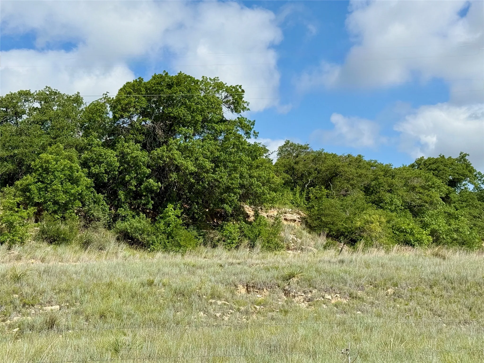 Unimproved Land For Sale in Coleman County , 1315 County Road 419, Coleman, Texas 76834, 0, 0, Garage spaces, 0 Sqft, built in 0, Price $125,000, mls#21324163, Real Estate Agent in Coleman, Homes For Sale in Coleman county, Homes For Sale in Coleman, Realtor in Coleman Texas, Real Estate Brokerage Independent Realty Texas, Luminita Cordes Realtor