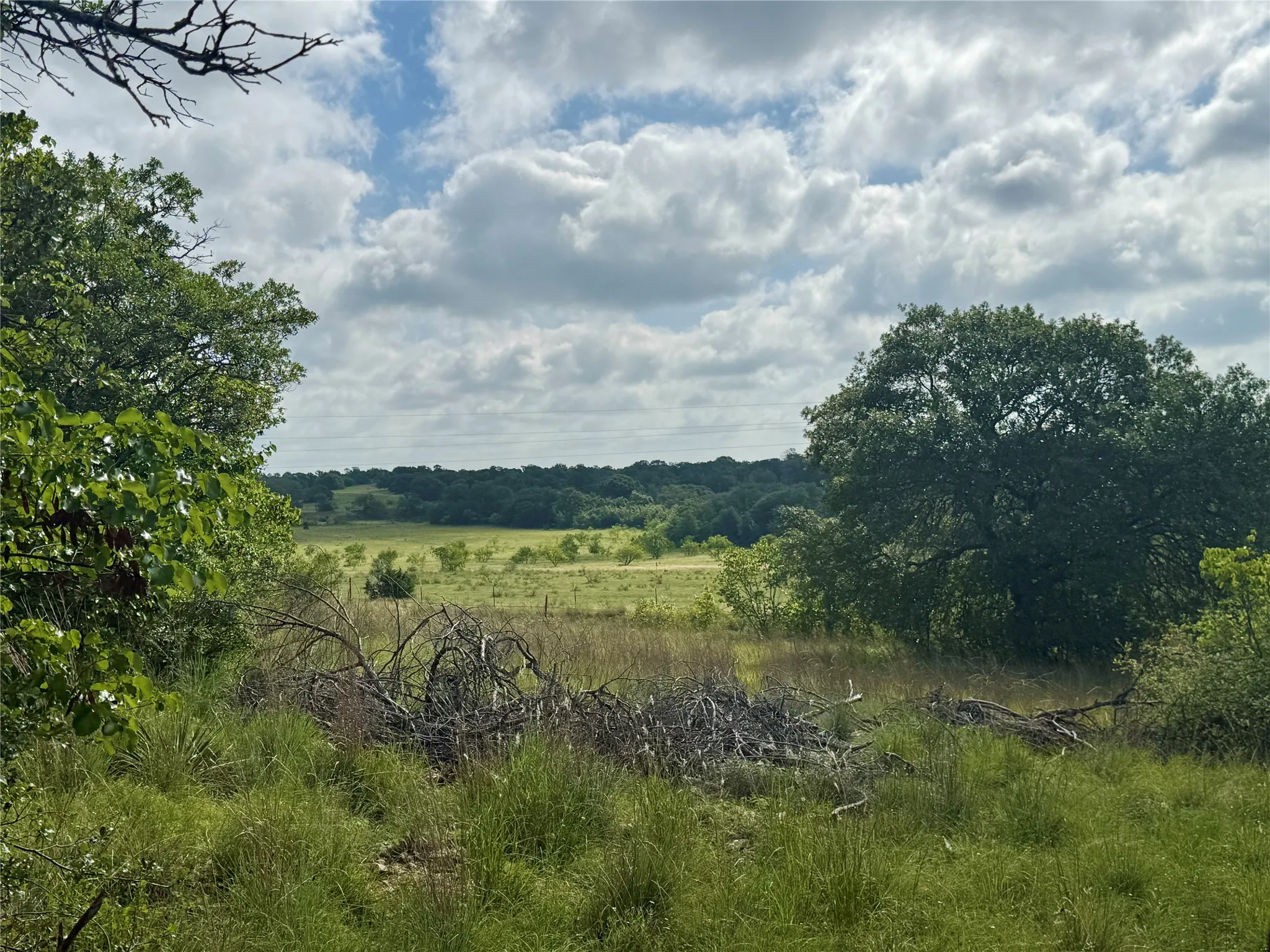 Unimproved Land For Sale in Coleman County , 1315 County Road 419, Coleman, Texas 76834, 0, 0, Garage spaces, 0 Sqft, built in 0, Price $125,000, mls#21324163, Real Estate Agent in Coleman, Homes For Sale in Coleman county, Homes For Sale in Coleman, Realtor in Coleman Texas, Real Estate Brokerage Independent Realty Texas, Luminita Cordes Realtor