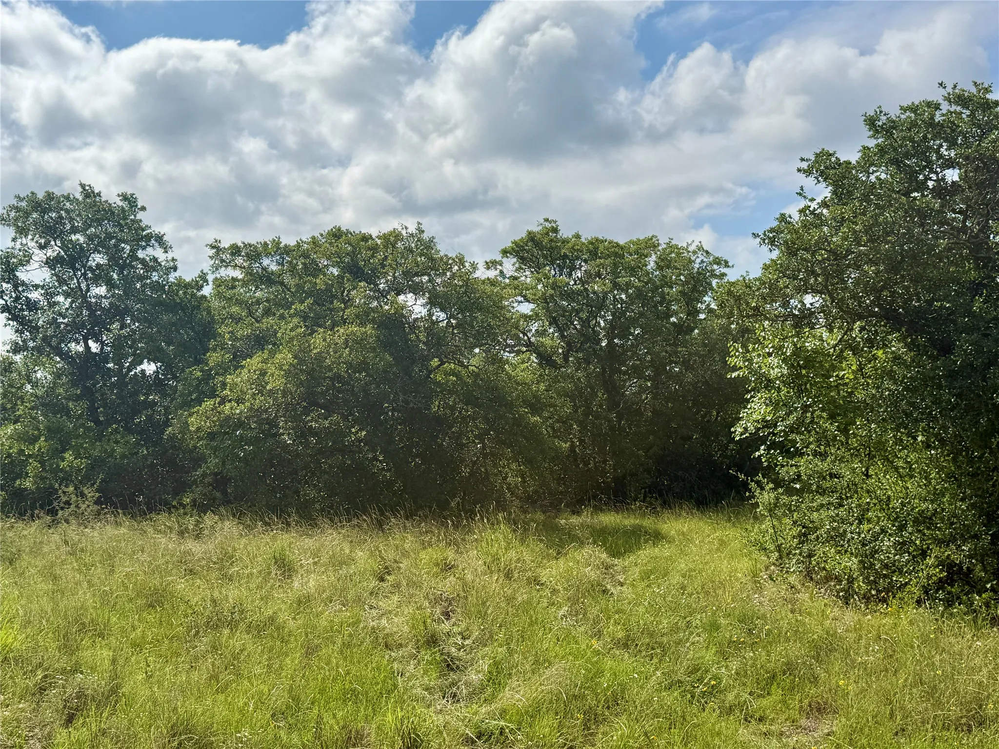 Unimproved Land For Sale in Coleman County , 1315 County Road 419, Coleman, Texas 76834, 0, 0, Garage spaces, 0 Sqft, built in 0, Price $125,000, mls#21324163, Real Estate Agent in Coleman, Homes For Sale in Coleman county, Homes For Sale in Coleman, Realtor in Coleman Texas, Real Estate Brokerage Independent Realty Texas, Luminita Cordes Realtor