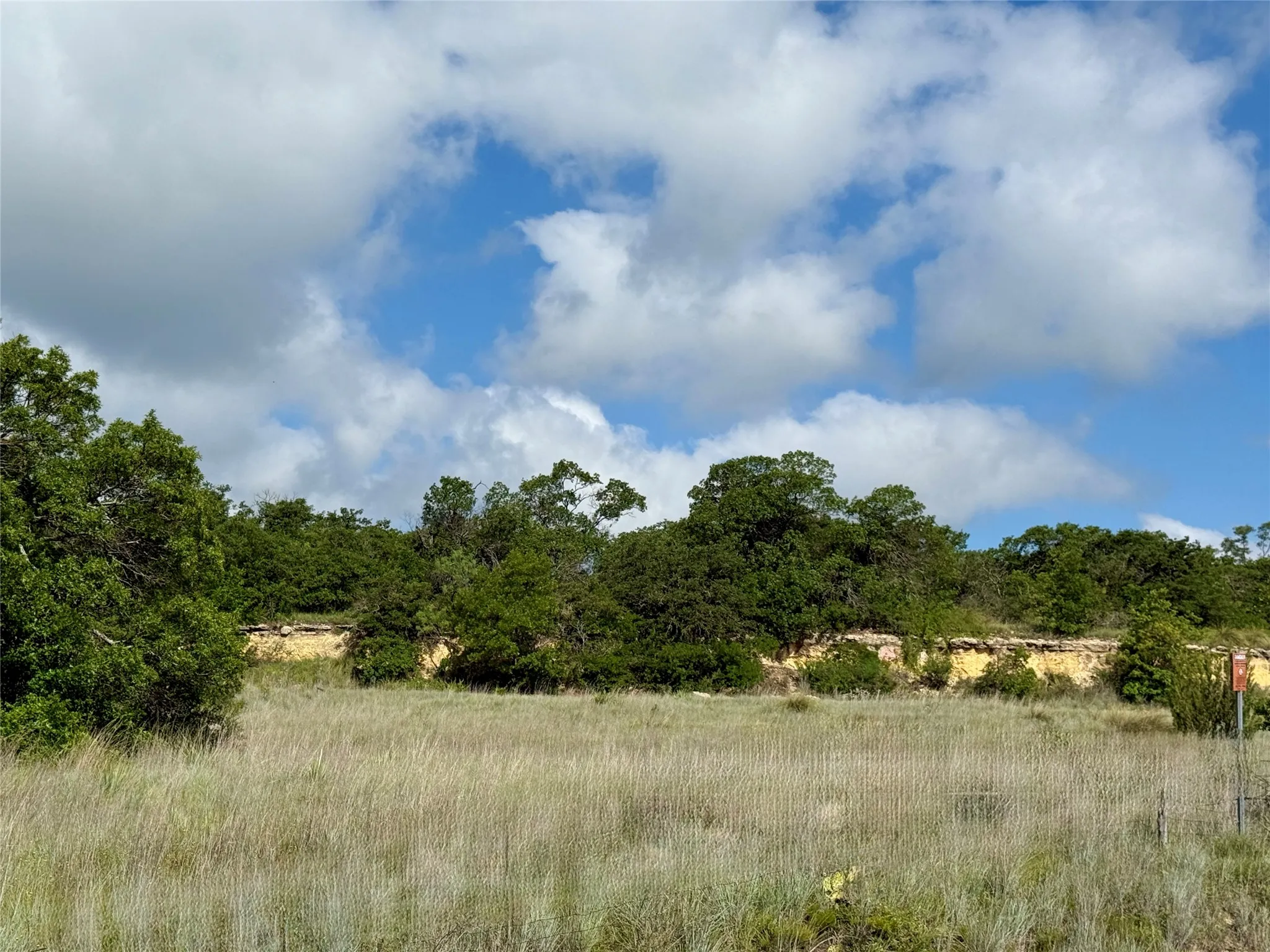 Unimproved Land For Sale in Coleman County , 1315 County Road 419, Coleman, Texas 76834, 0, 0, Garage spaces, 0 Sqft, built in 0, Price $125,000, mls#21324163, Real Estate Agent in Coleman, Homes For Sale in Coleman county, Homes For Sale in Coleman, Realtor in Coleman Texas, Real Estate Brokerage Independent Realty Texas, Luminita Cordes Realtor