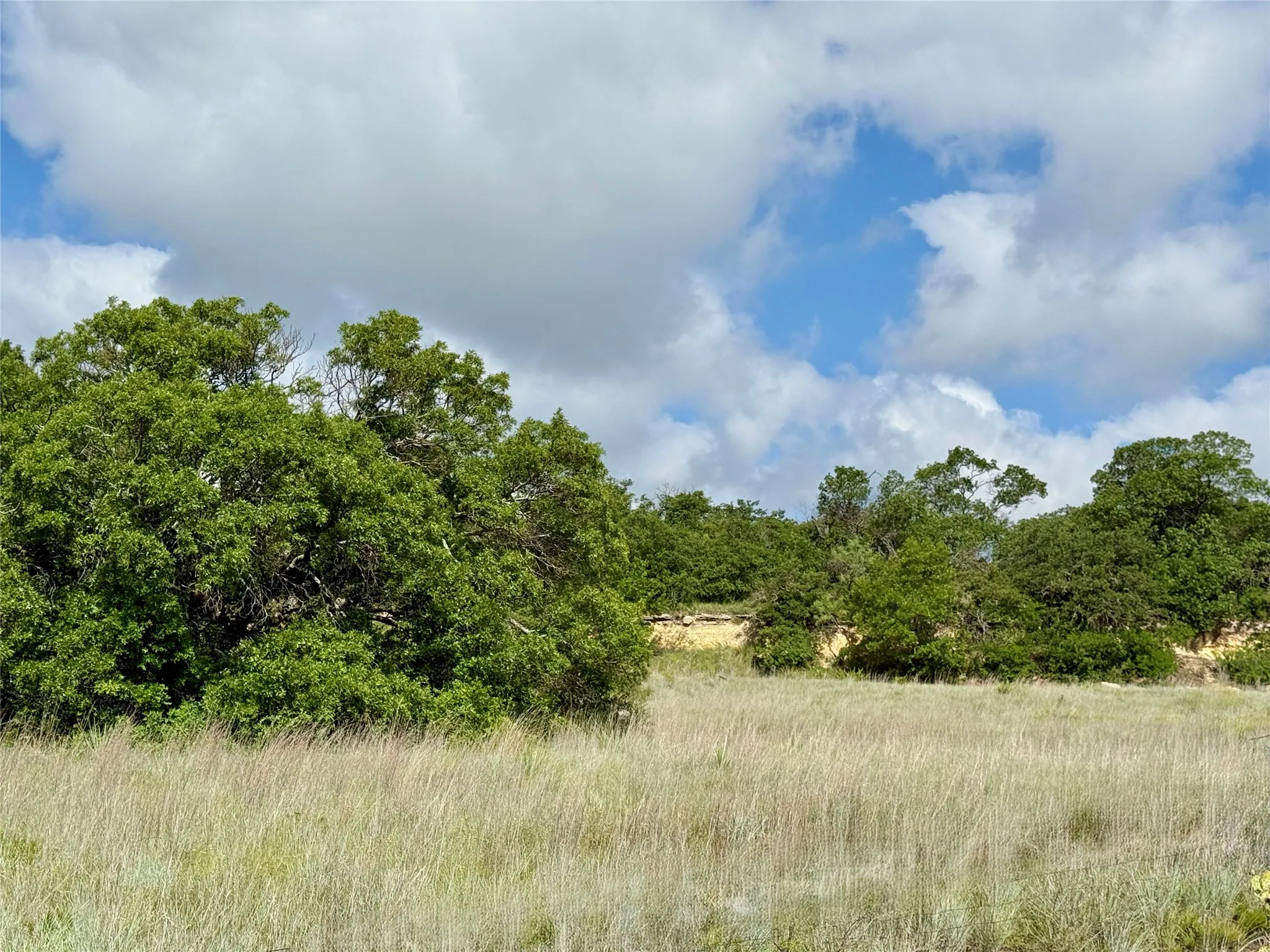 Unimproved Land For Sale in Coleman County , 1315 County Road 419, Coleman, Texas 76834, 0, 0, Garage spaces, 0 Sqft, built in 0, Price $125,000, mls#21324163, Real Estate Agent in Coleman, Homes For Sale in Coleman county, Homes For Sale in Coleman, Realtor in Coleman Texas, Real Estate Brokerage Independent Realty Texas, Luminita Cordes Realtor