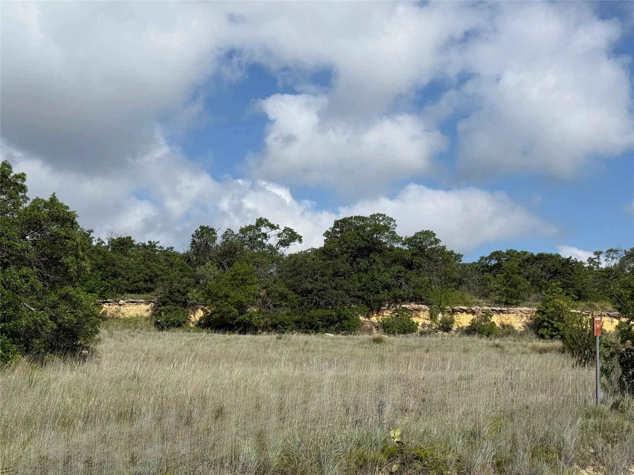 Unimproved Land For Sale in Coleman County , 1315 County Road 419, Coleman, Texas 76834, 0, 0, Garage spaces, 0 Sqft, built in 0, Price $125,000, mls#21324163, Real Estate Agent in Coleman, Homes For Sale in Coleman county, Homes For Sale in Coleman, Realtor in Coleman Texas, Real Estate Brokerage Independent Realty Texas, Luminita Cordes Realtor