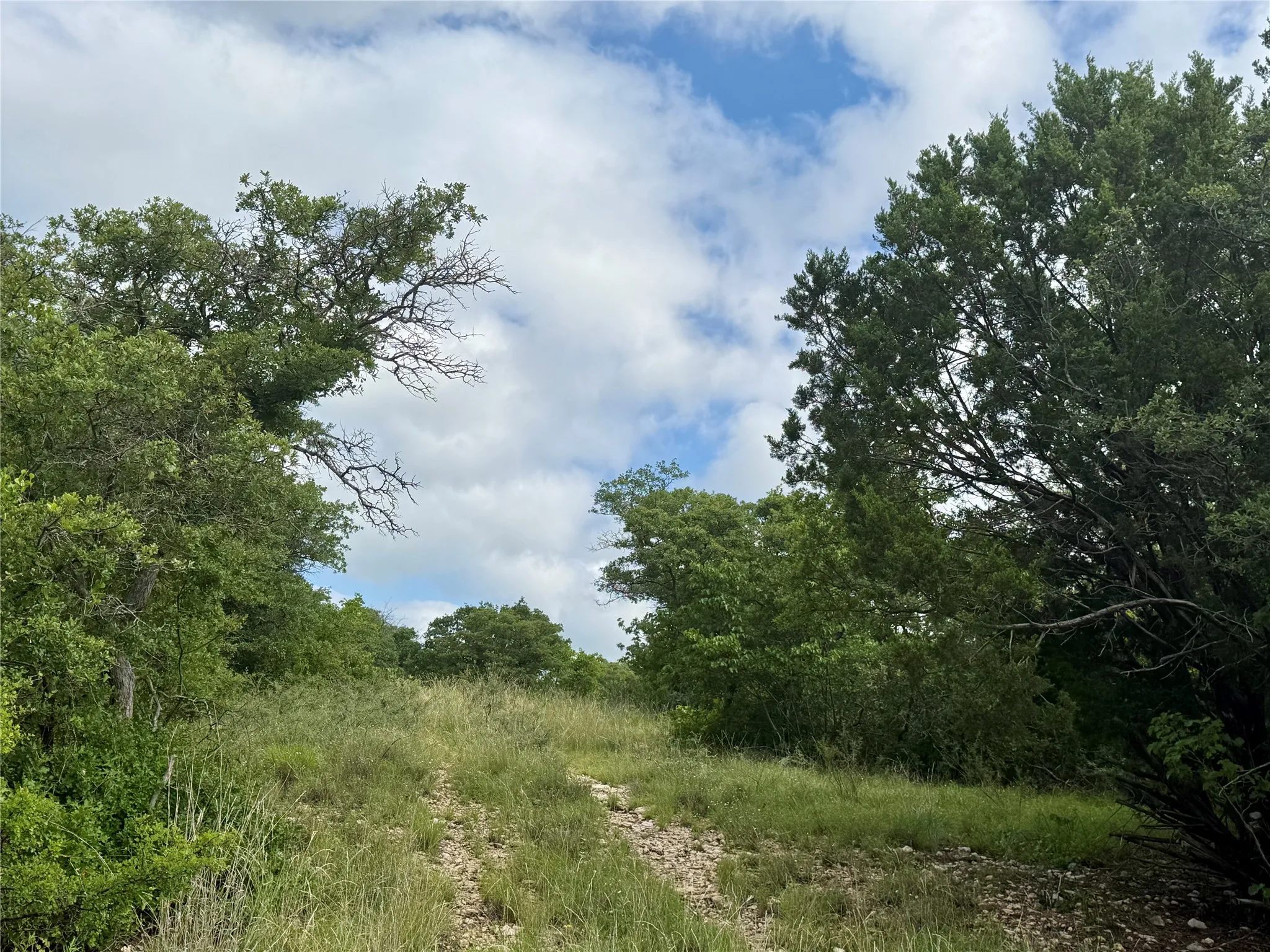 Unimproved Land For Sale in Coleman County , 1315 County Road 419, Coleman, Texas 76834, 0, 0, Garage spaces, 0 Sqft, built in 0, Price $125,000, mls#21324163, Real Estate Agent in Coleman, Homes For Sale in Coleman county, Homes For Sale in Coleman, Realtor in Coleman Texas, Real Estate Brokerage Independent Realty Texas, Luminita Cordes Realtor