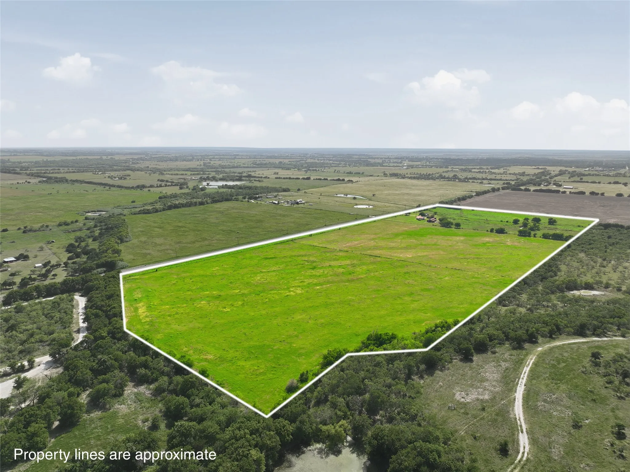 Expansive green acreage with a distant tree line and visible structures
