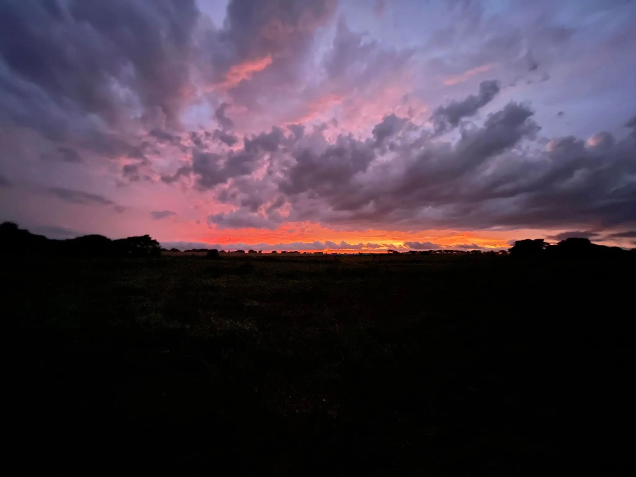 Farm For Sale in Mc Lennan County , 4554 Eddy Gatesville Parkway, Moody, Texas 76557, 1 Bedroom, 1 Bathroom, Garage spaces, 572 Sqft, built in 2003, mls#21317095, Real Estate Agent in Moody, Homes For Sale in Mc Lennan county, Homes For Sale in Moody, Realtor in Moody Texas, Real Estate Brokerage Independent Realty Texas, Luminita Cordes Realtor