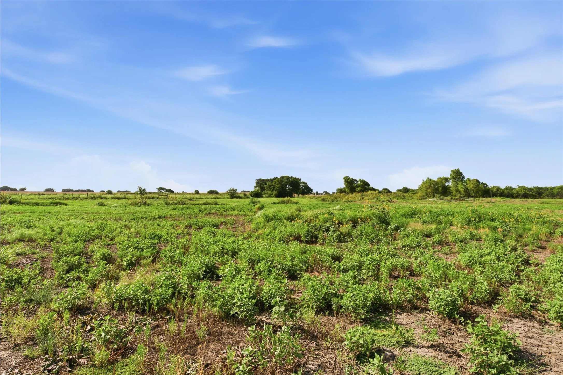 Farm For Sale in Mc Lennan County , 4554 Eddy Gatesville Parkway, Moody, Texas 76557, 1 Bedroom, 1 Bathroom, Garage spaces, 572 Sqft, built in 2003, mls#21317095, Real Estate Agent in Moody, Homes For Sale in Mc Lennan county, Homes For Sale in Moody, Realtor in Moody Texas, Real Estate Brokerage Independent Realty Texas, Luminita Cordes Realtor
