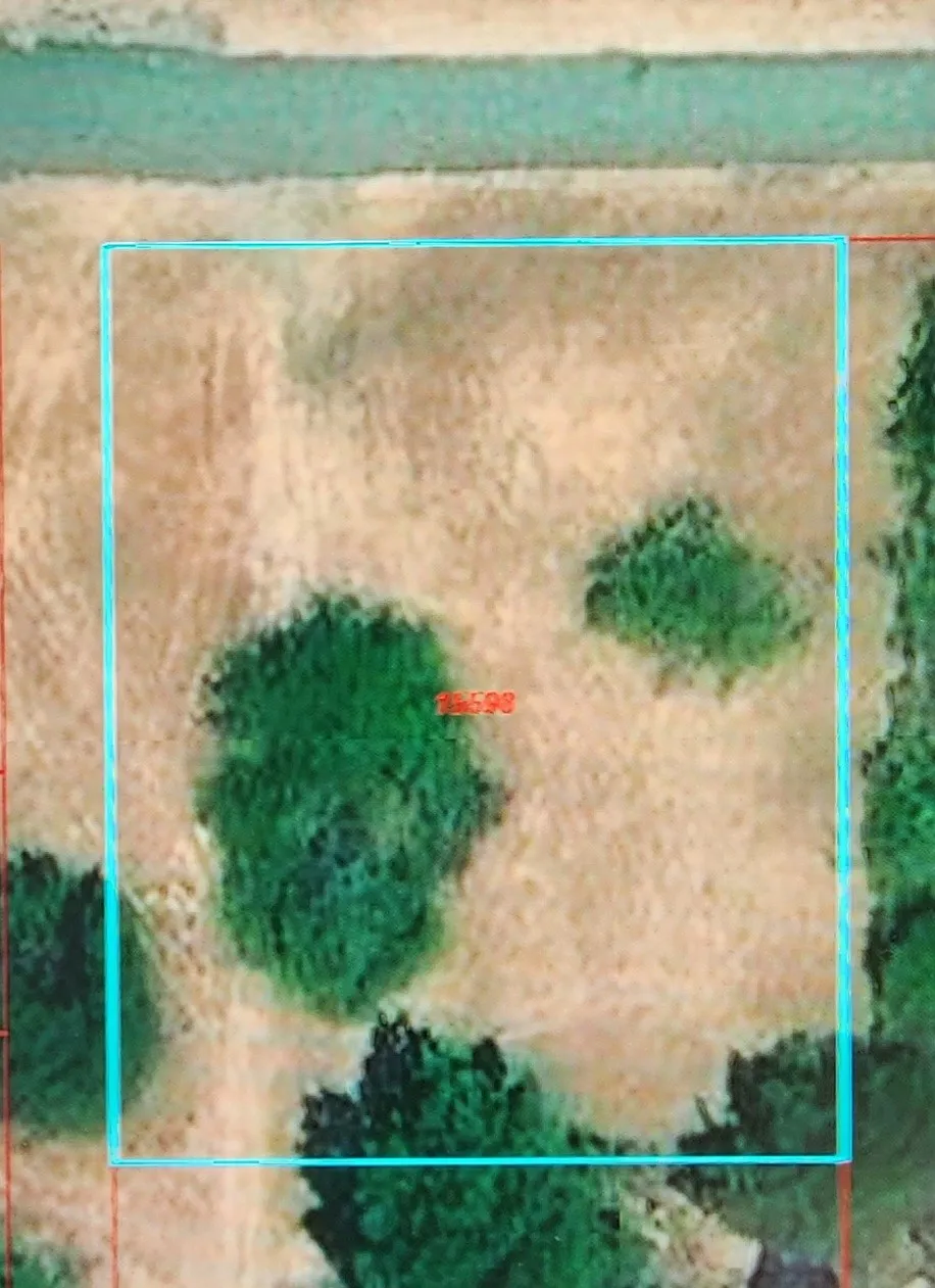 Unimproved Land For Sale in Navarro County , 12057 Fm 638, Dawson, Texas 76639, 0, 0, Garage spaces, 0 Sqft, built in 0, mls#21323650, Real Estate Agent in Dawson, Homes For Sale in Navarro county, Homes For Sale in Dawson, Realtor in Dawson Texas, Real Estate Brokerage Independent Realty Texas, Luminita Cordes Realtor