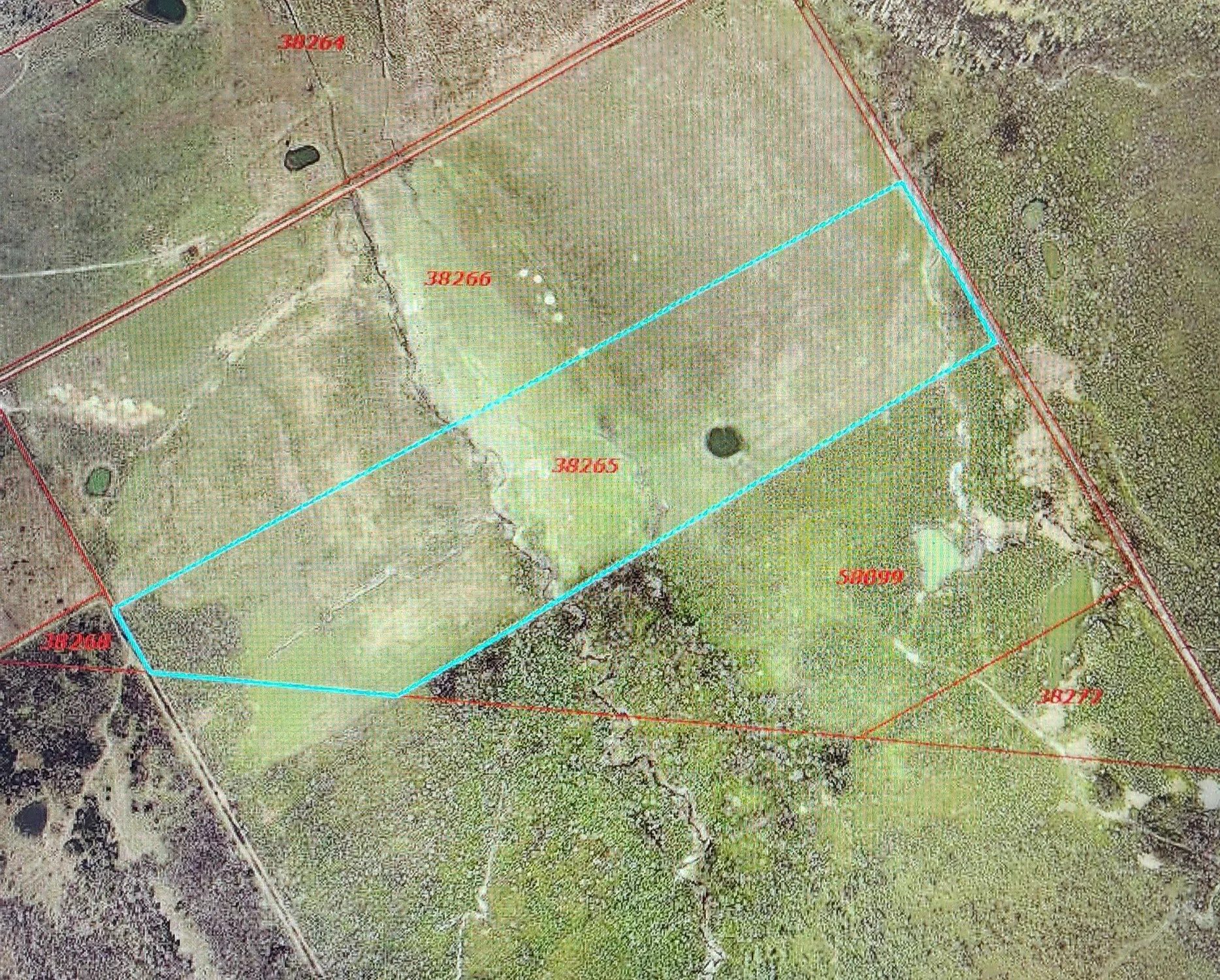 Unimproved Land For Sale in Navarro County , 12057 Fm 638, Dawson, Texas 76639, 0, 0, Garage spaces, 0 Sqft, built in 0, mls#21323650, Real Estate Agent in Dawson, Homes For Sale in Navarro county, Homes For Sale in Dawson, Realtor in Dawson Texas, Real Estate Brokerage Independent Realty Texas, Luminita Cordes Realtor