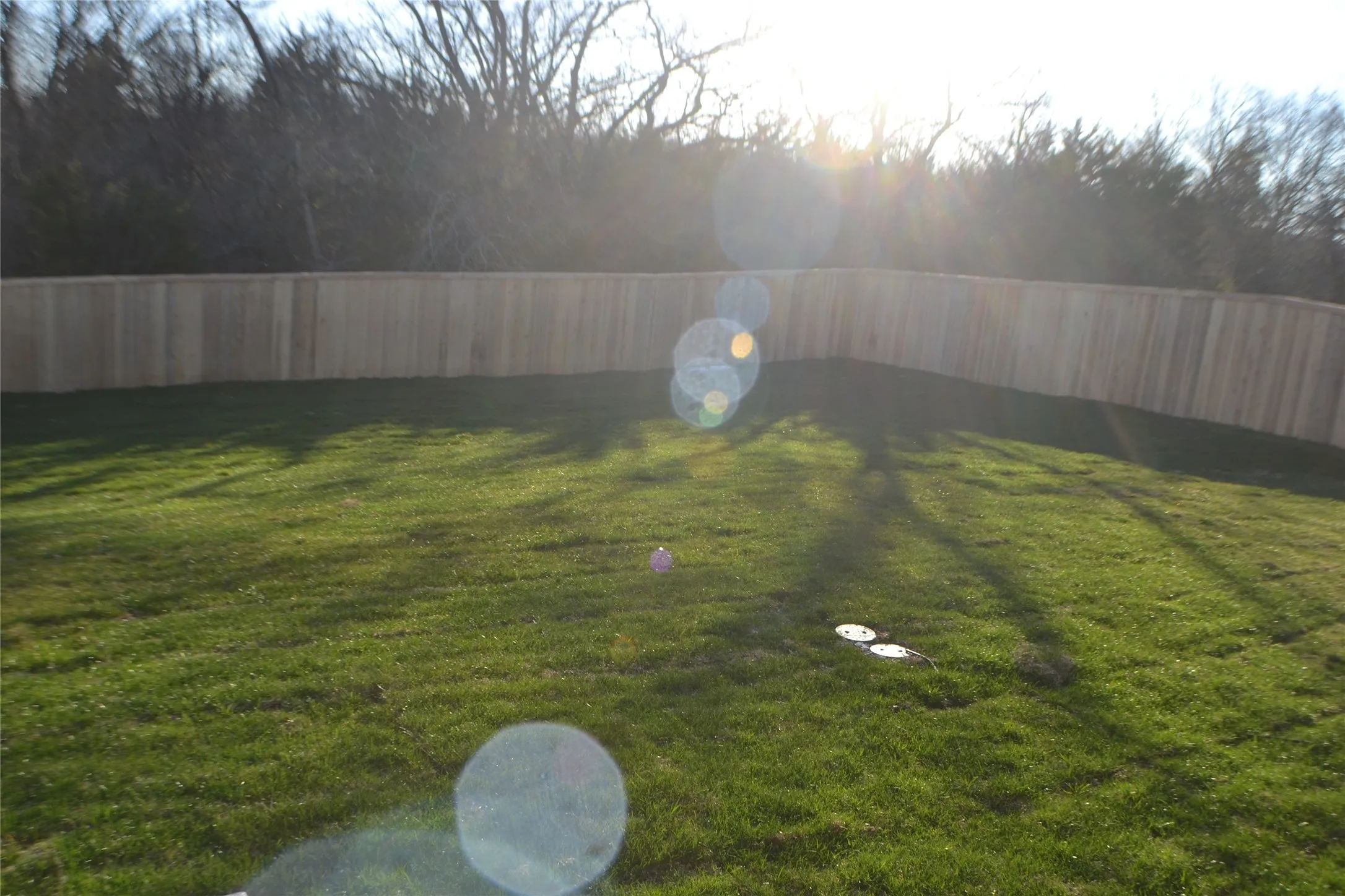Single Family Residence For Rent in Grayson County , 1101 Southridge Lane, Sherman, Texas 75092, 3 Bedroom, 2 Bathroom, 2 Garage spaces, 1,467 Sqft, built in 2020, mls#21324206, Real Estate Agent in Sherman, Homes For Rent in Grayson county, Homes For Rent in Sherman, Realtor in Sherman Texas, Real Estate Brokerage Independent Realty Texas, Luminita Cordes Realtor